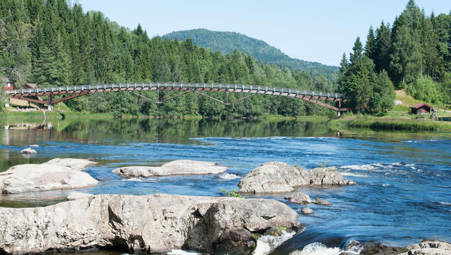 Grønn skog, fjell i bakgrunn, bru over elven, med fossen i forgrunn