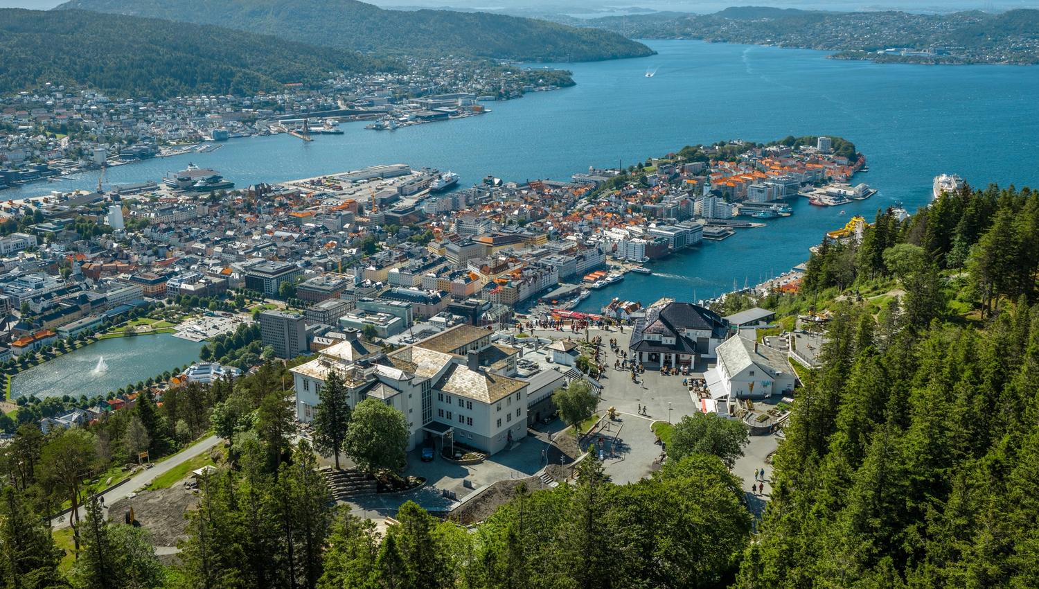 Fløyen