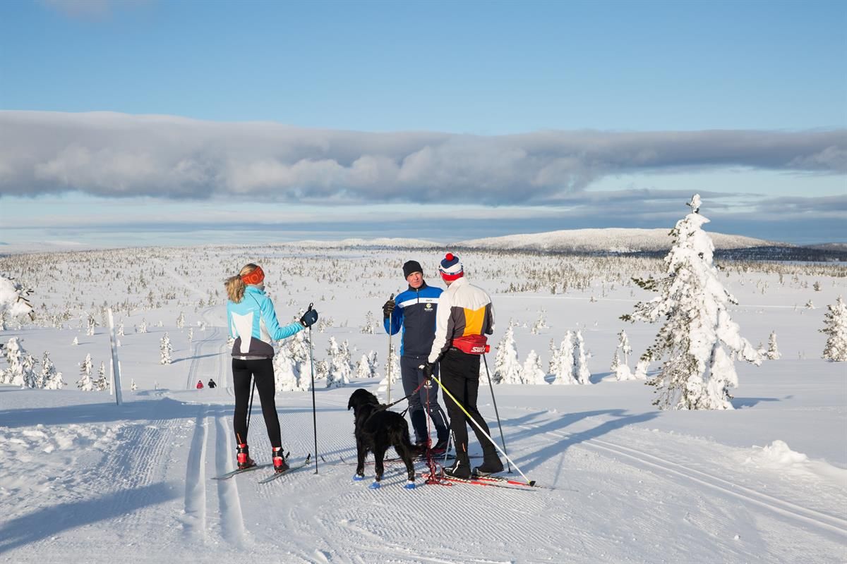 Tre personer og en hund i langrennsløype med sol fra blå himmel.
