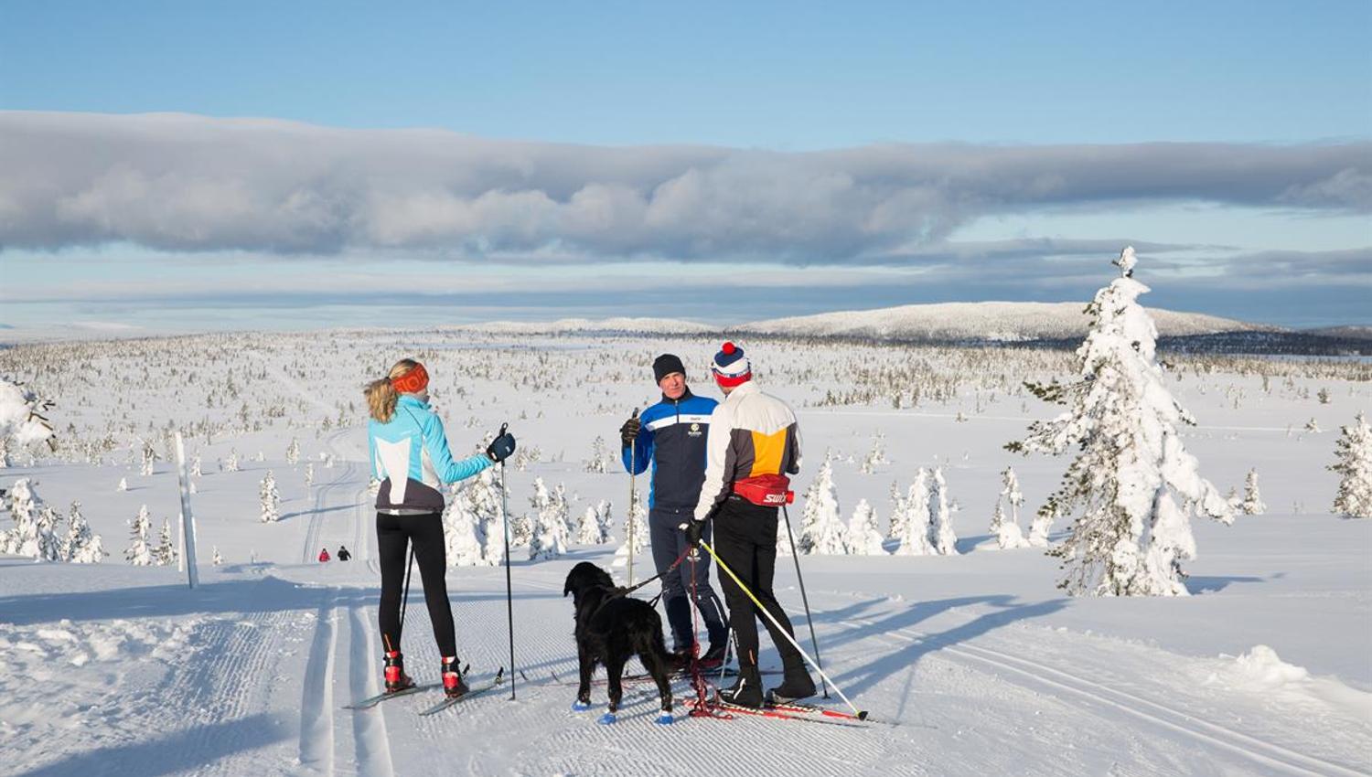 Tre personer og en hund i langrennsløype med sol fra blå himmel.