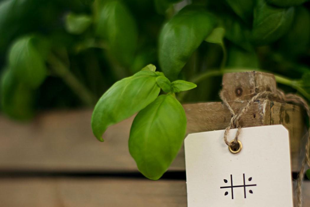 Hesnes gartneri & kjøkken