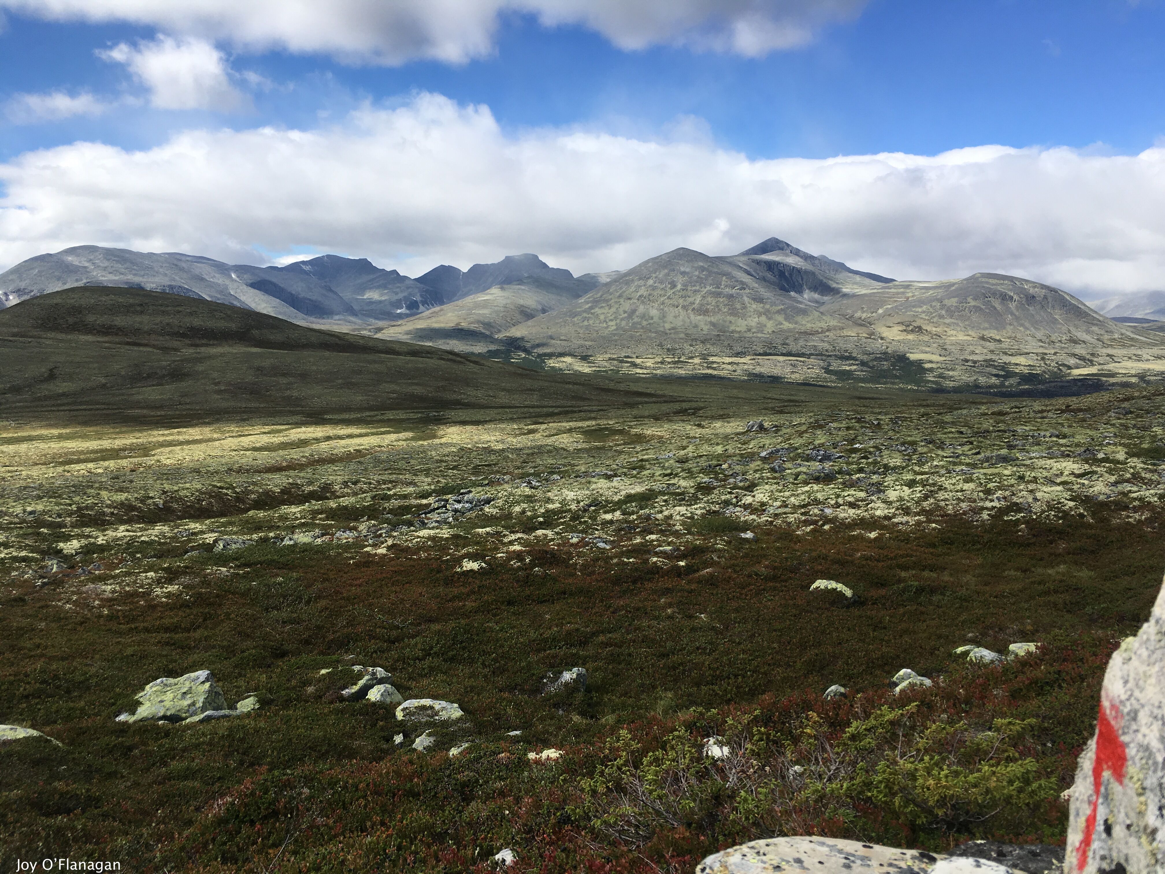 View of the Rondane mountains | Venabu Fjellhotell