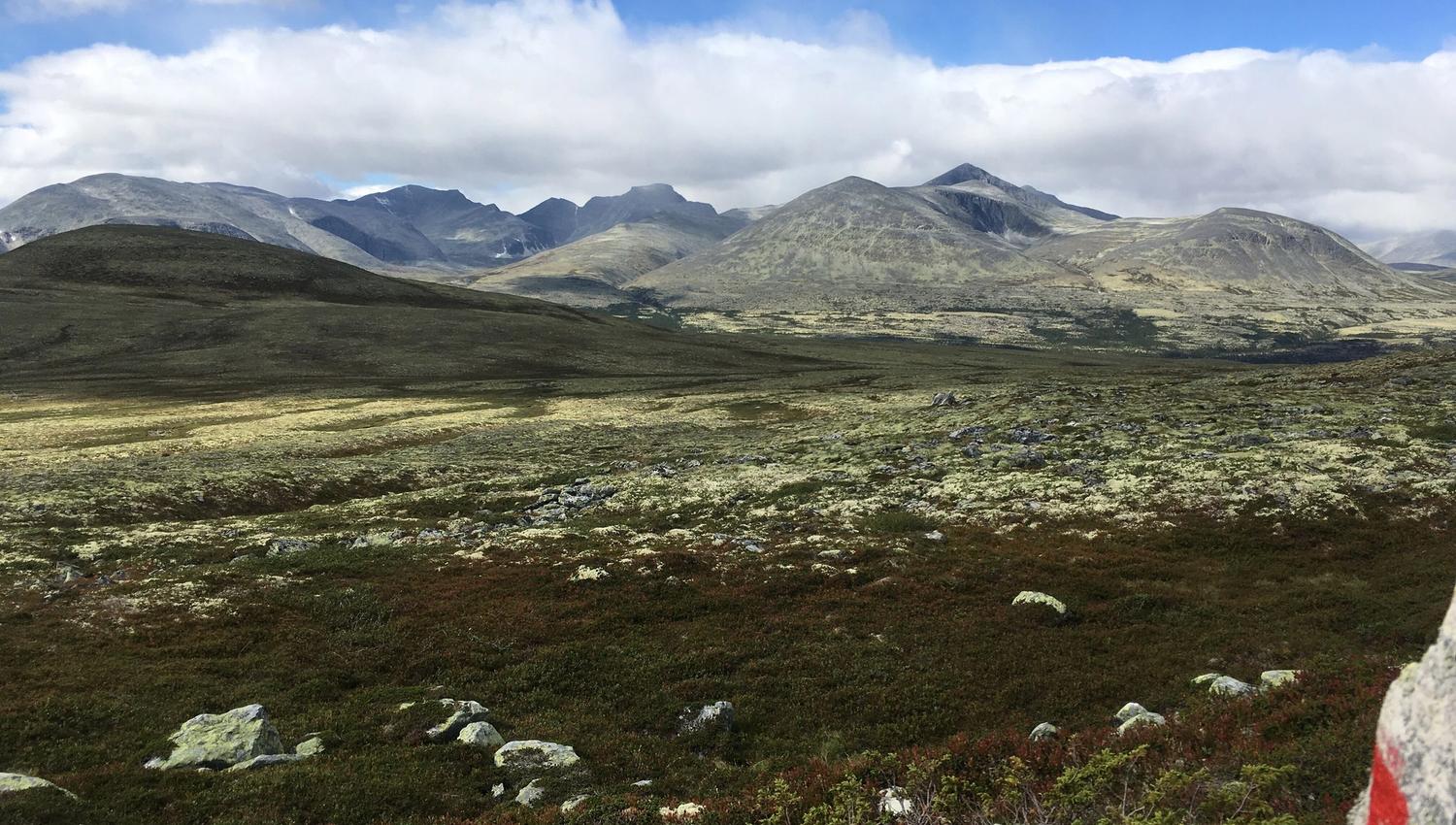 View of the Rondane mountains | Venabu Fjellhotell