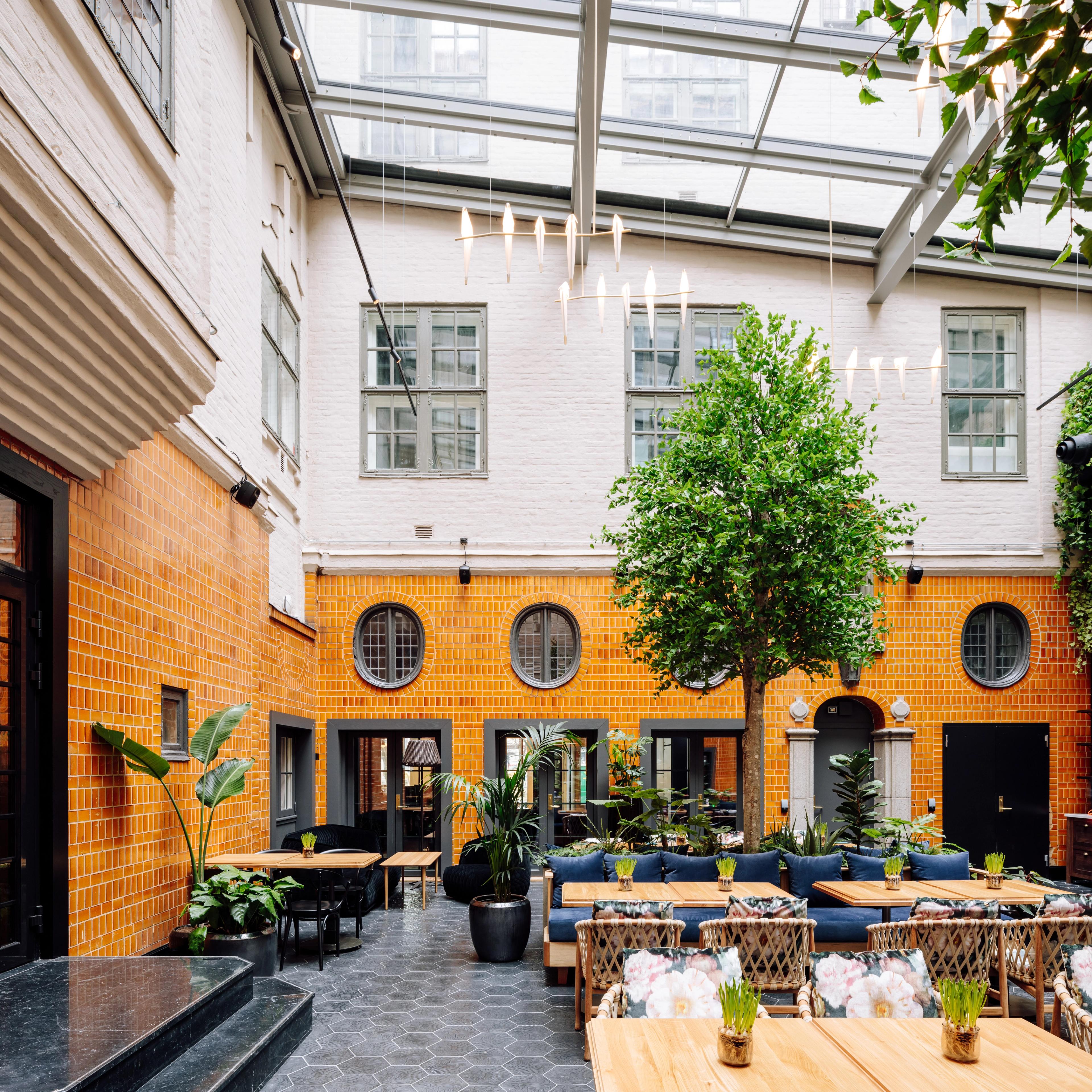 Amerikalinjen Haven backyard