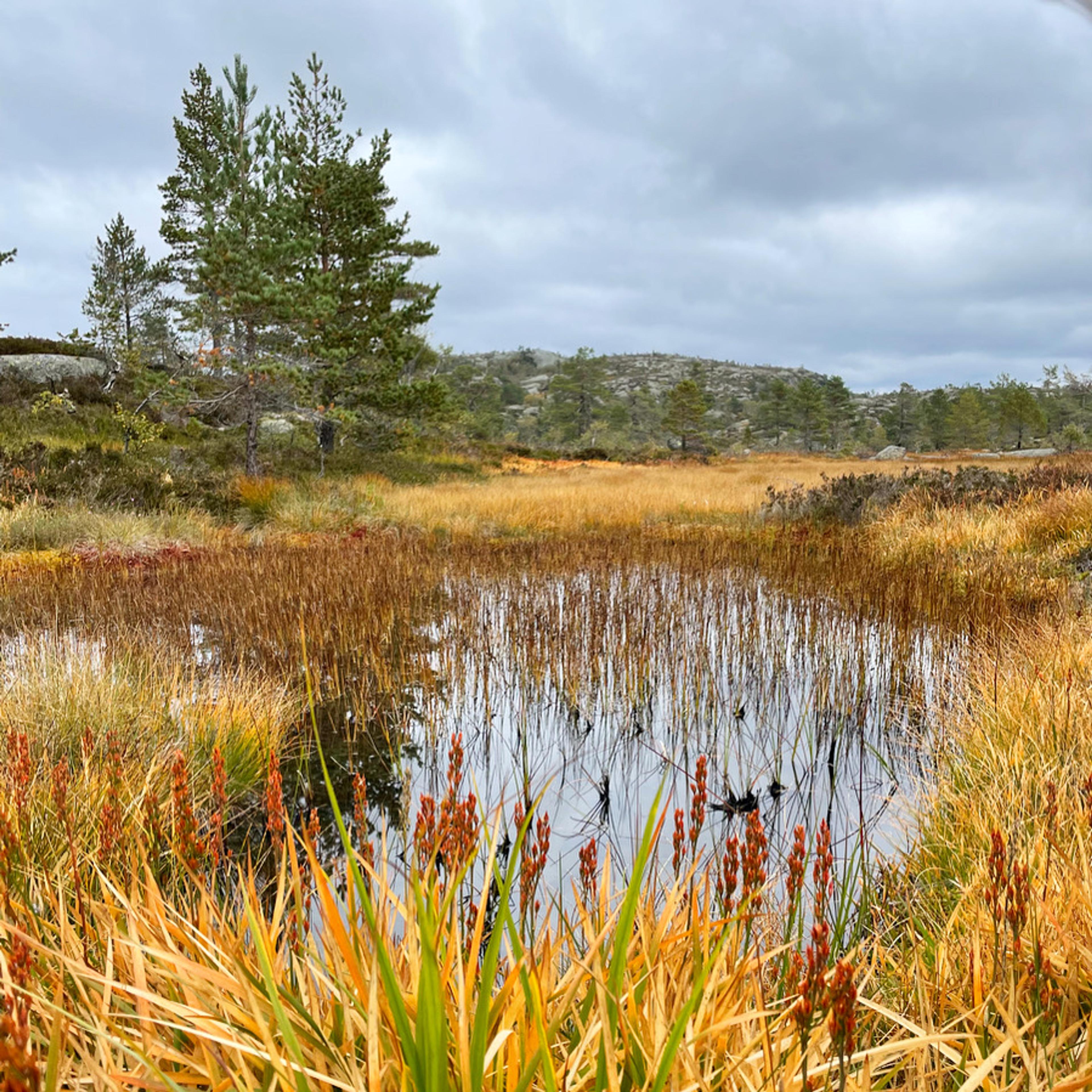 Himmelsyna 1 Foto Elisabeth Høibo©Visit Sørlandet