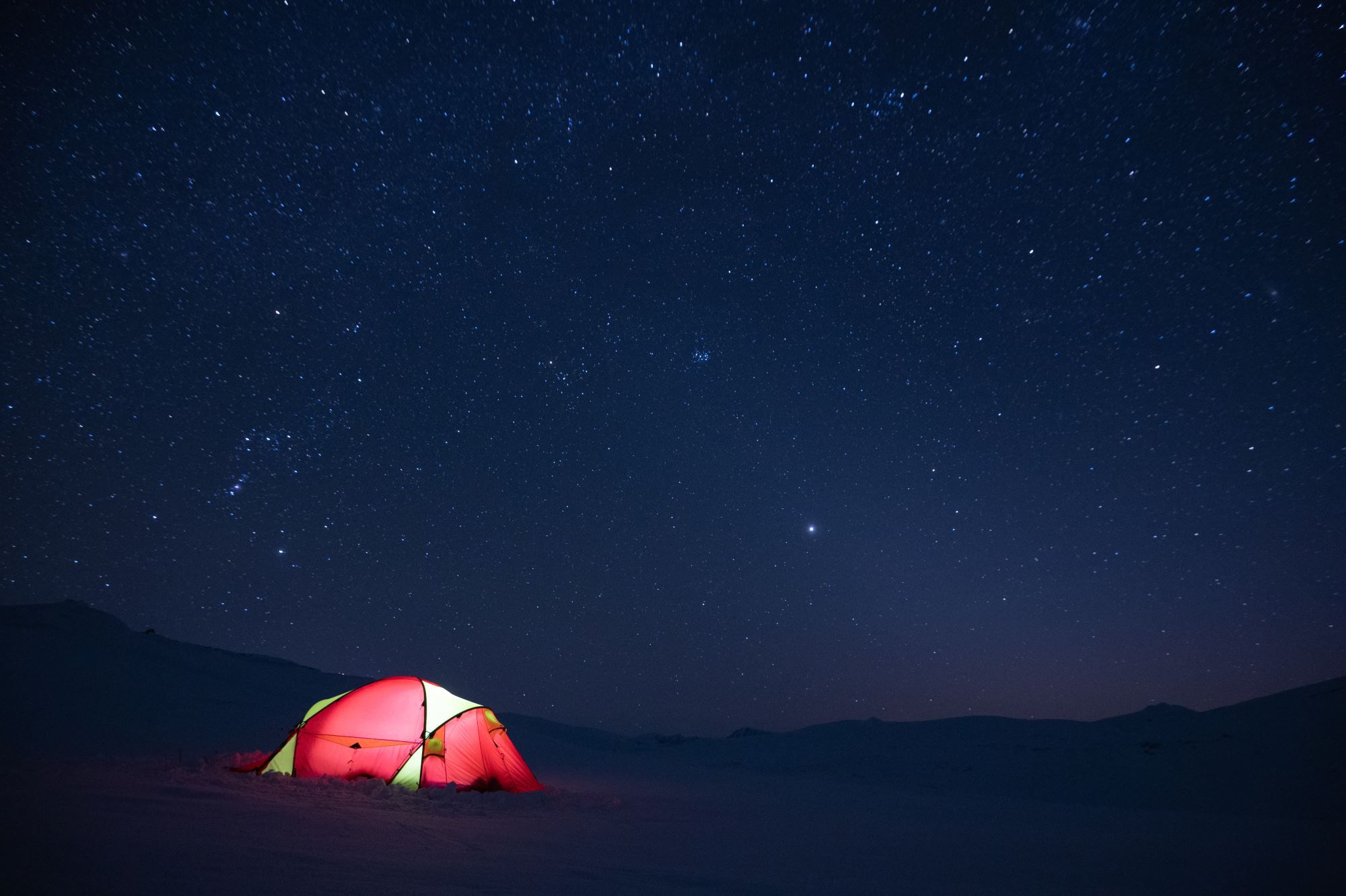 Moskussafari m/personlig guide, 2 dager