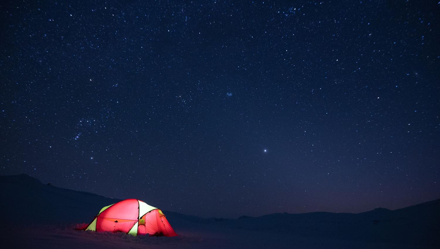 Moskussafari m/personlig guide, 2 dager