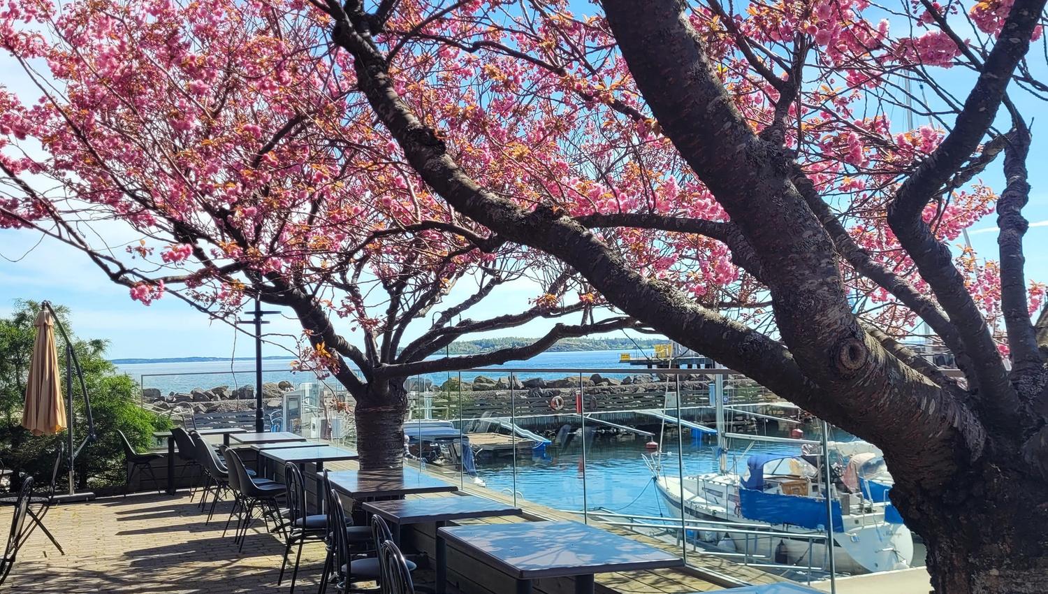 494382020_122232673550210113_1468168881941143511_n