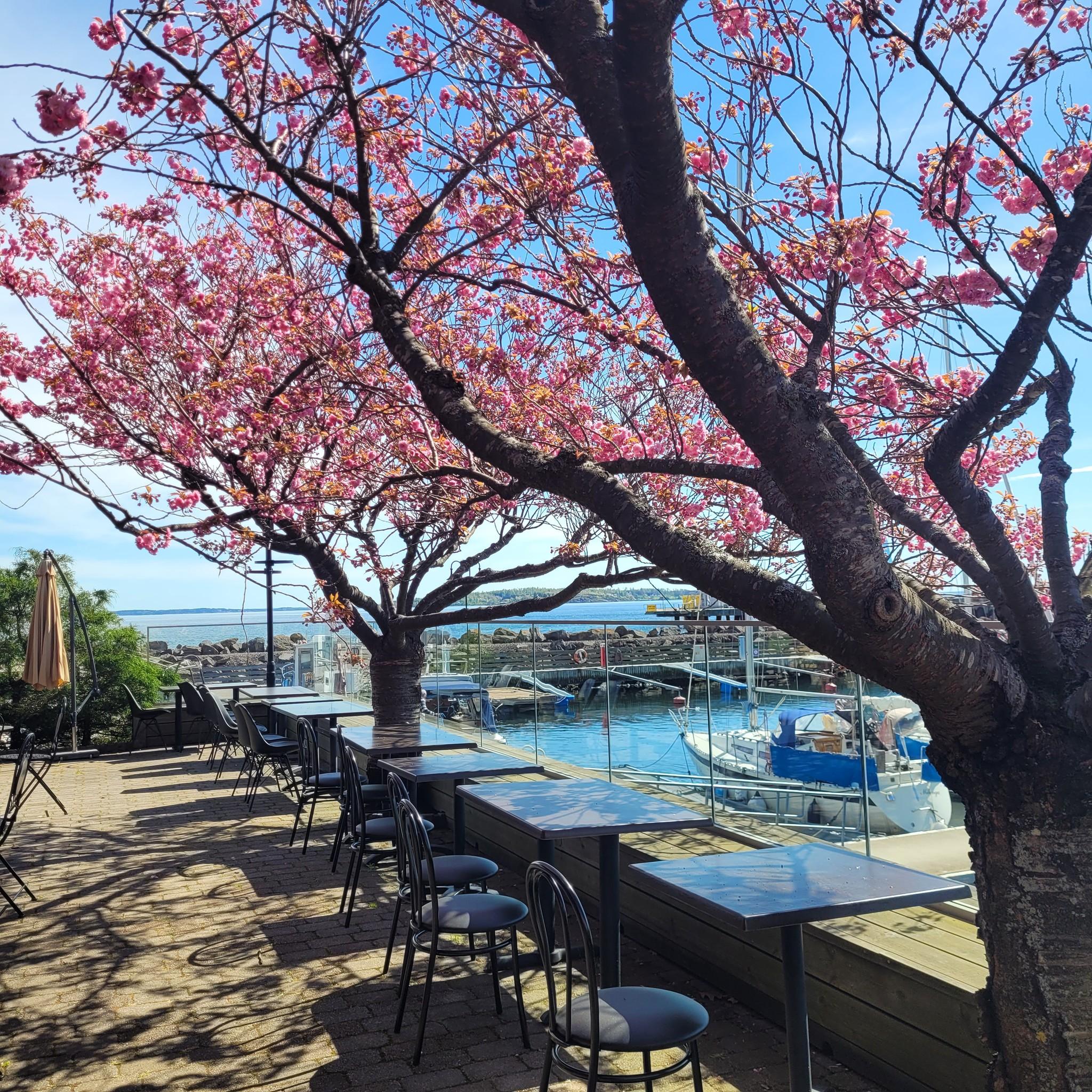 494382020_122232673550210113_1468168881941143511_n