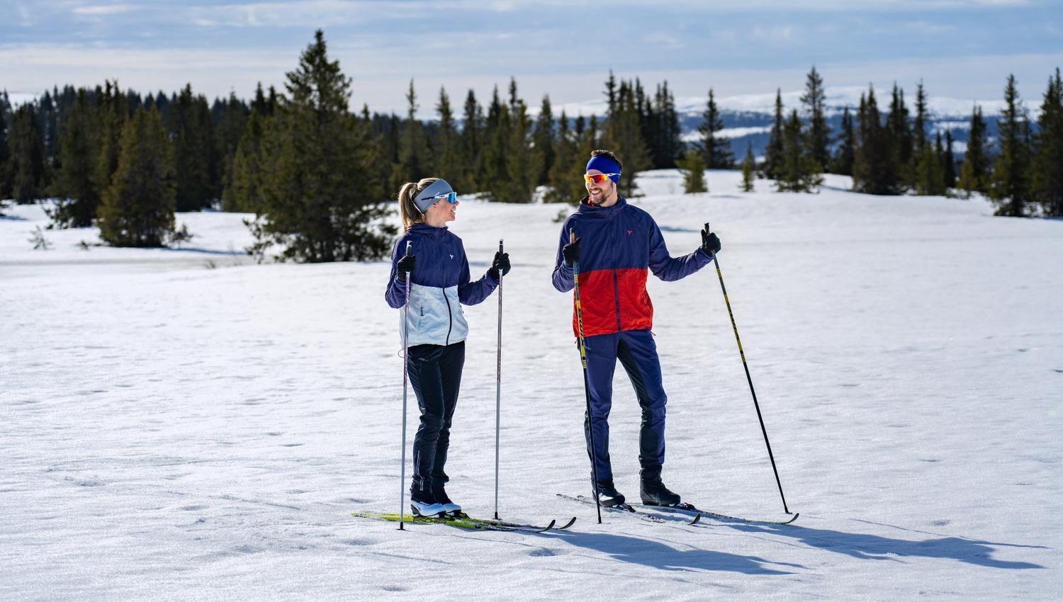 Two skiers talking
