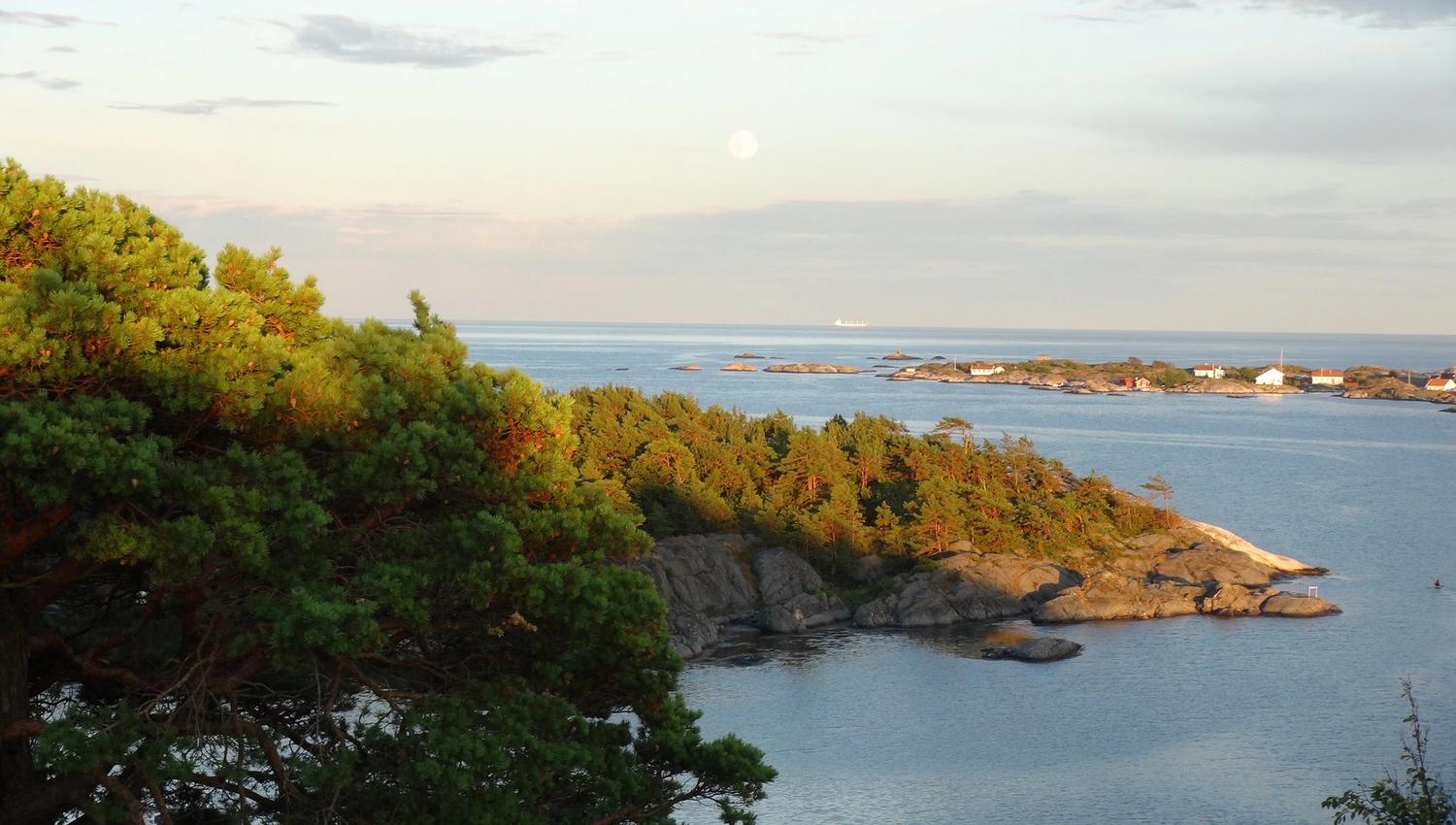 Fullmåne