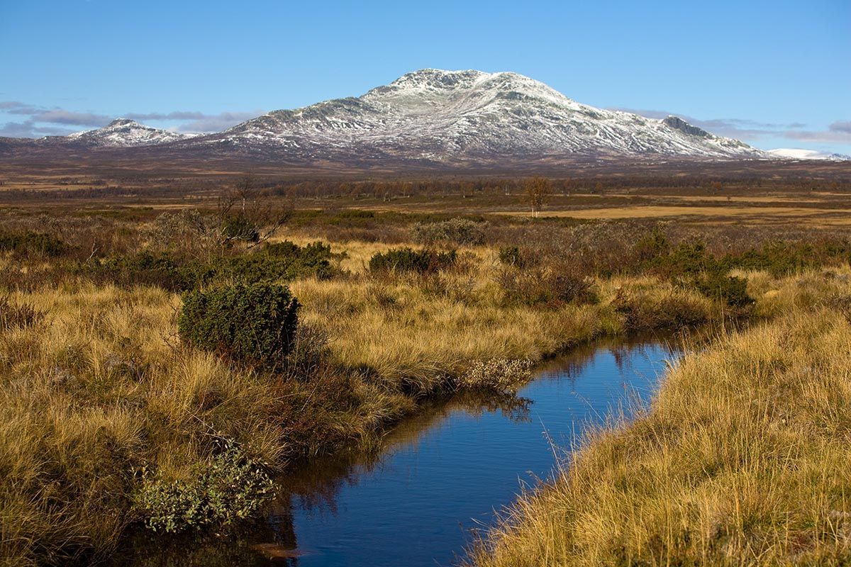 Skaget rises over an autumn-coloured swamp with new snow on the summit. A small brook flows calmly through the swamp. 