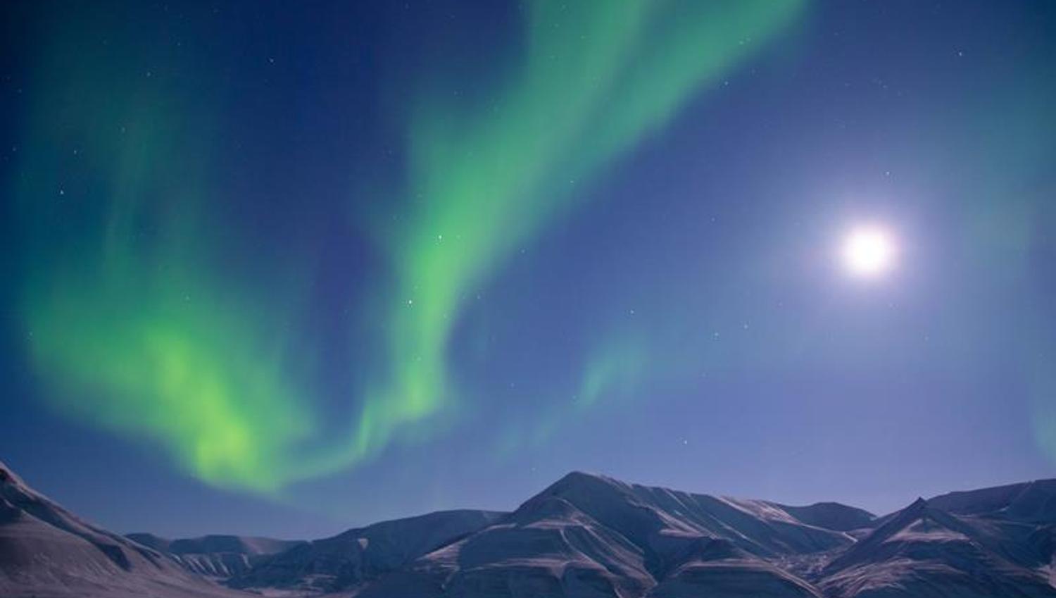 Nordlys over snødekte fjell