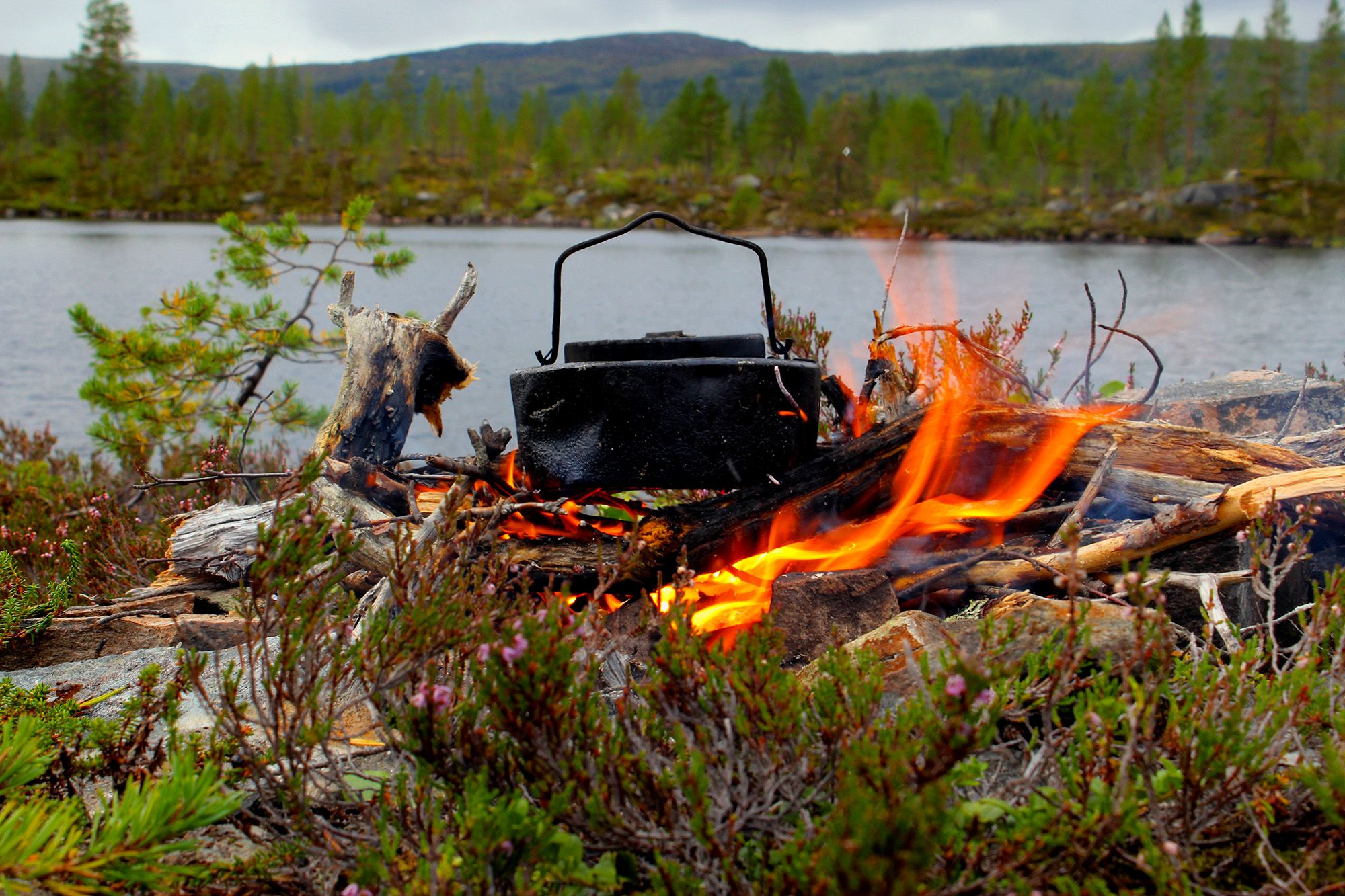 Bålkos ved Roktsjøen
