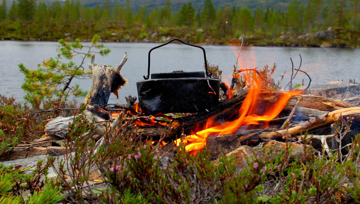 Bålkos ved Roktsjøen