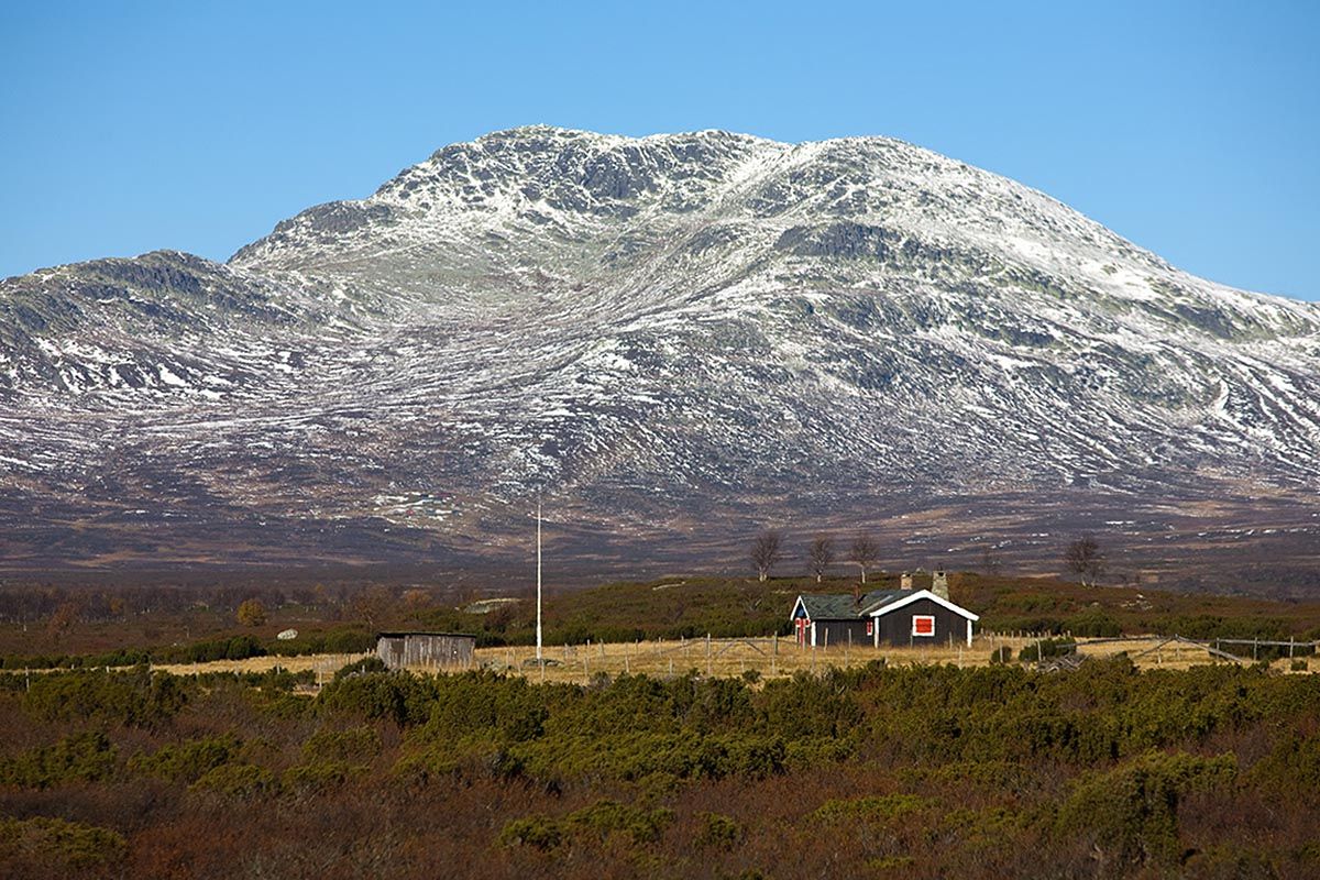 Skaget with a tad of new snow on its hills is behind a small dark brown cabin which is standing on a small patch of grass within juniper thicket.