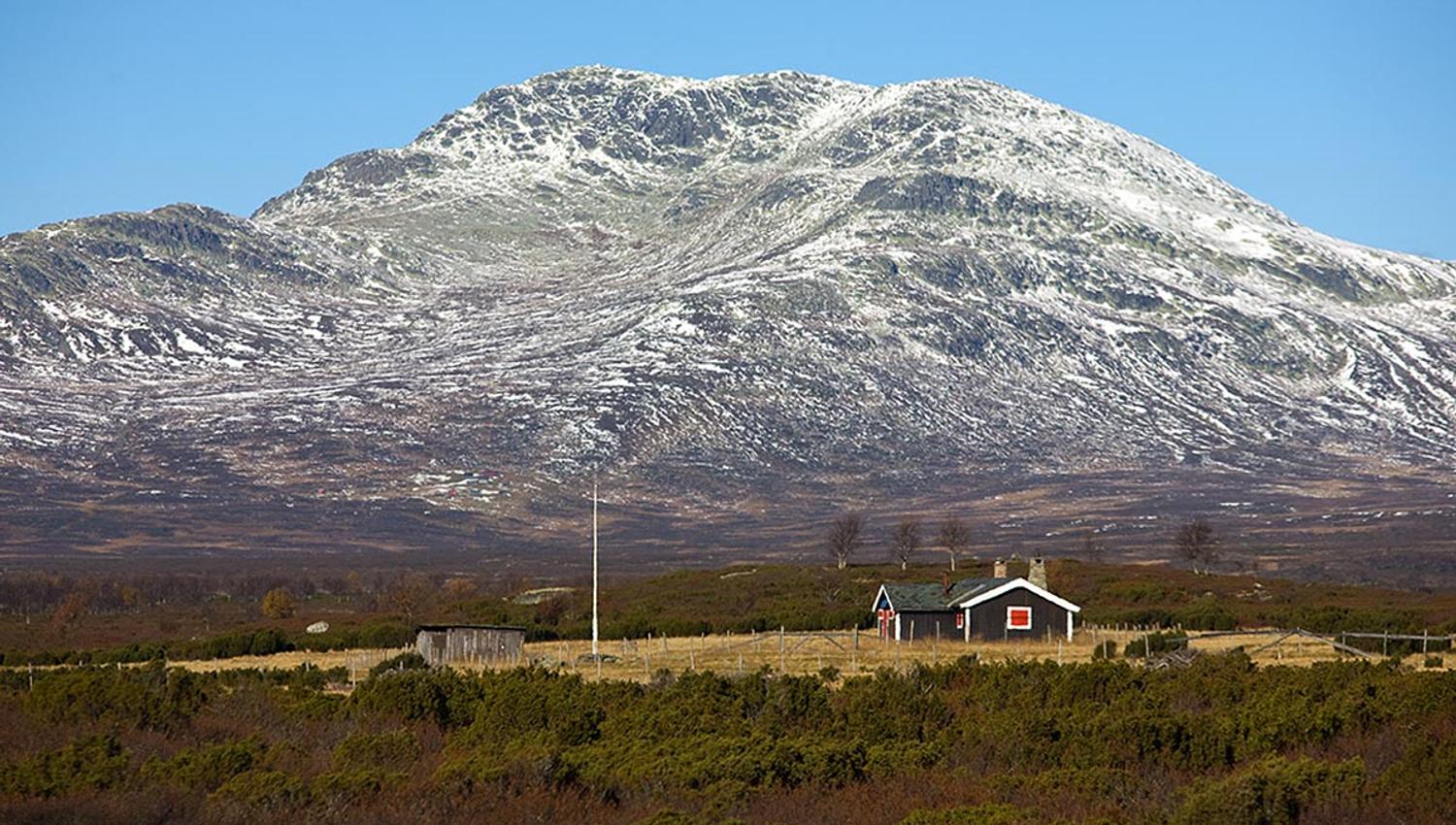 Skaget with a tad of new snow on its hills is behind a small dark brown cabin which is standing on a small patch of grass within juniper thicket.