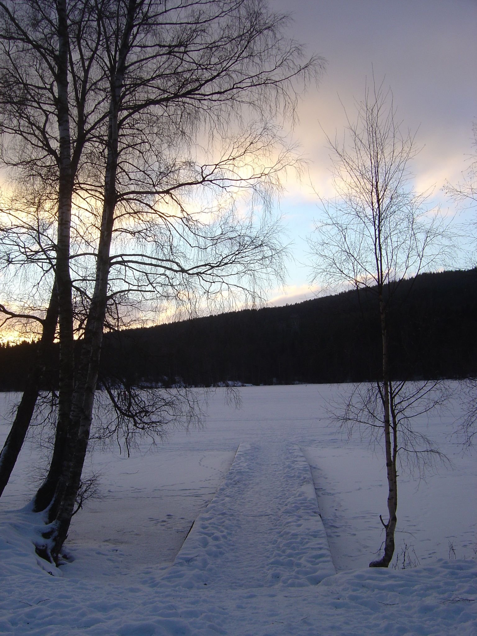 Sognsvann lake during winter