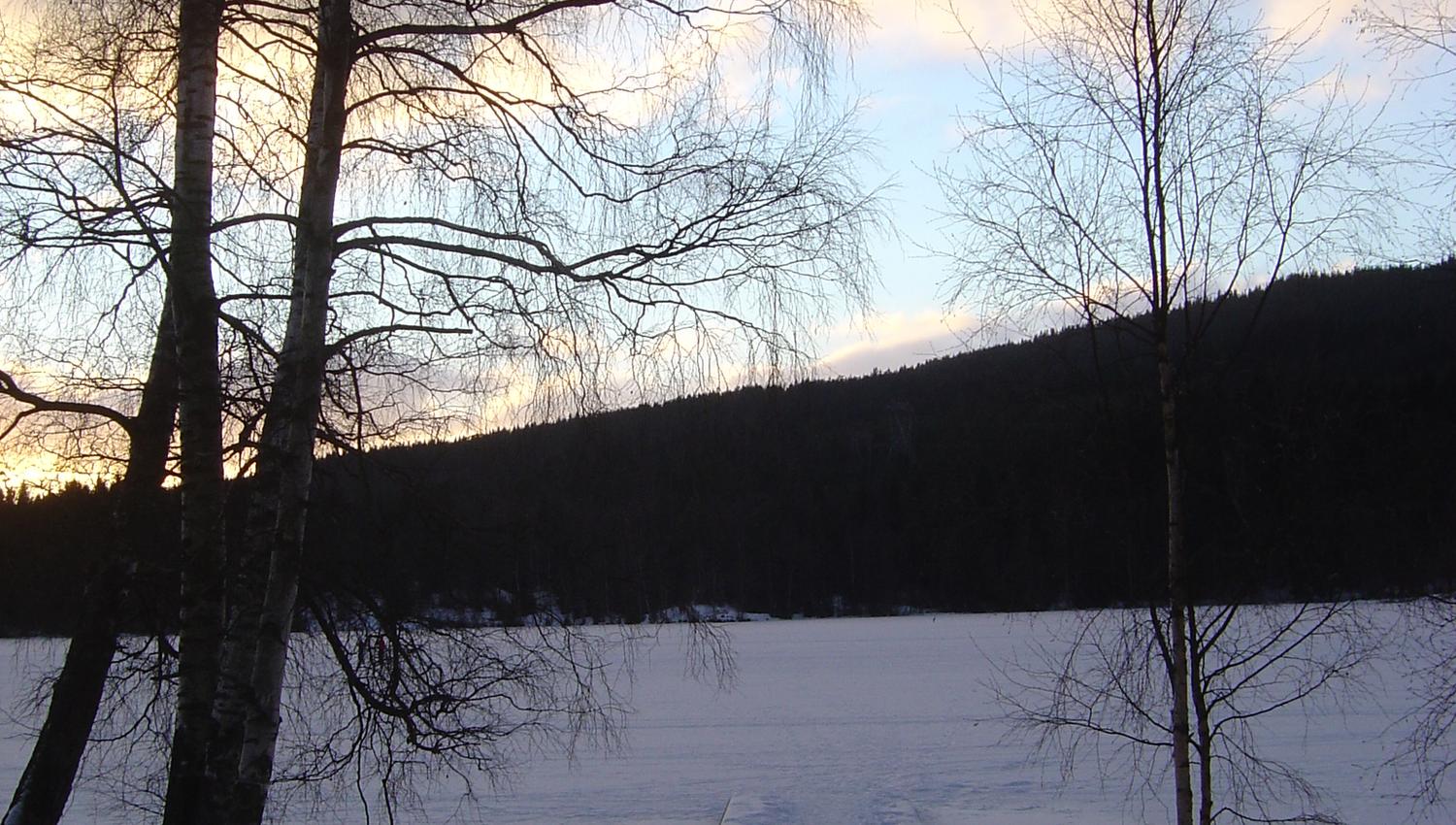 Sognsvann lake during winter
