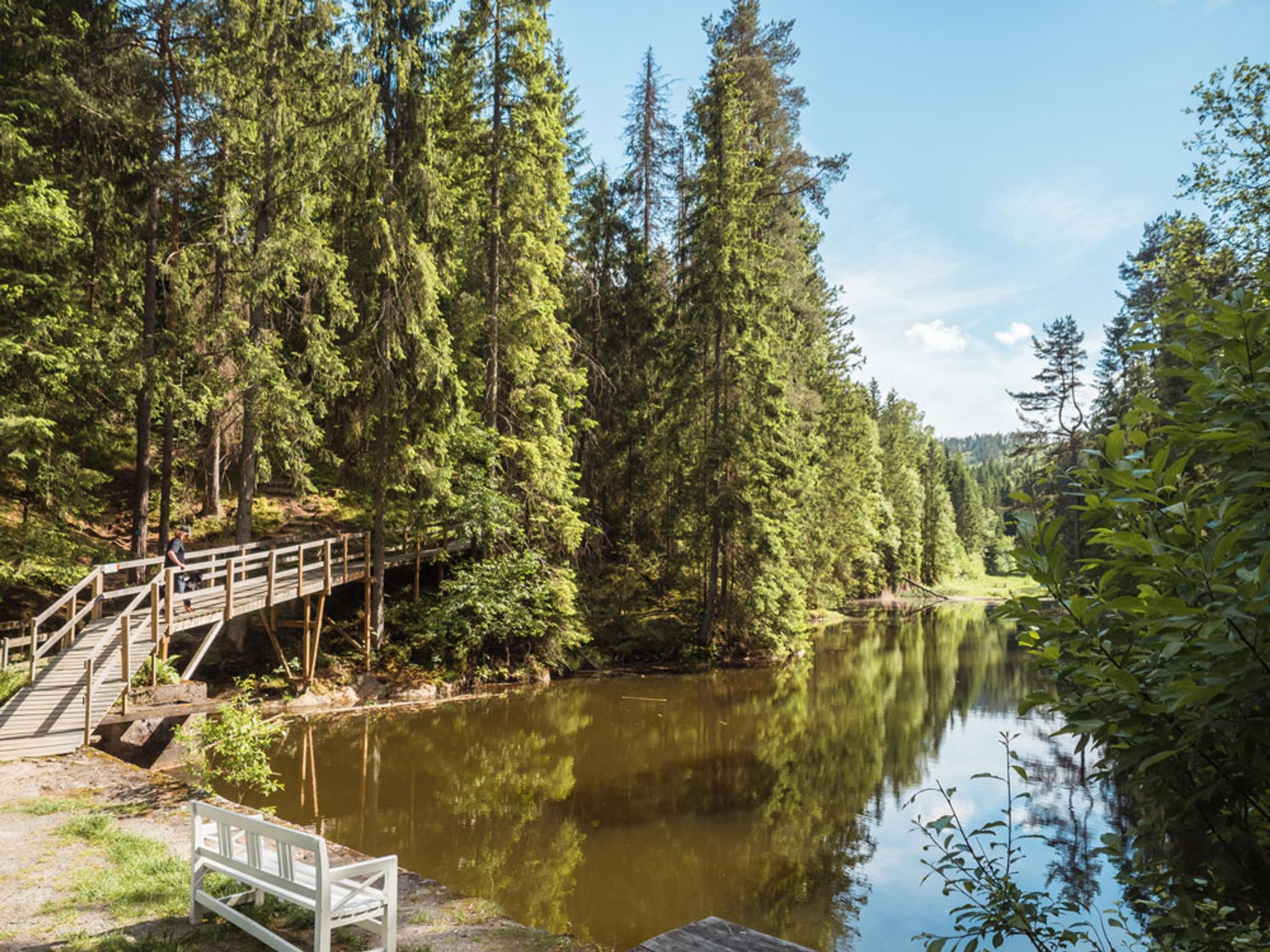 hiking trail that goes past a lake at the ski leisure park