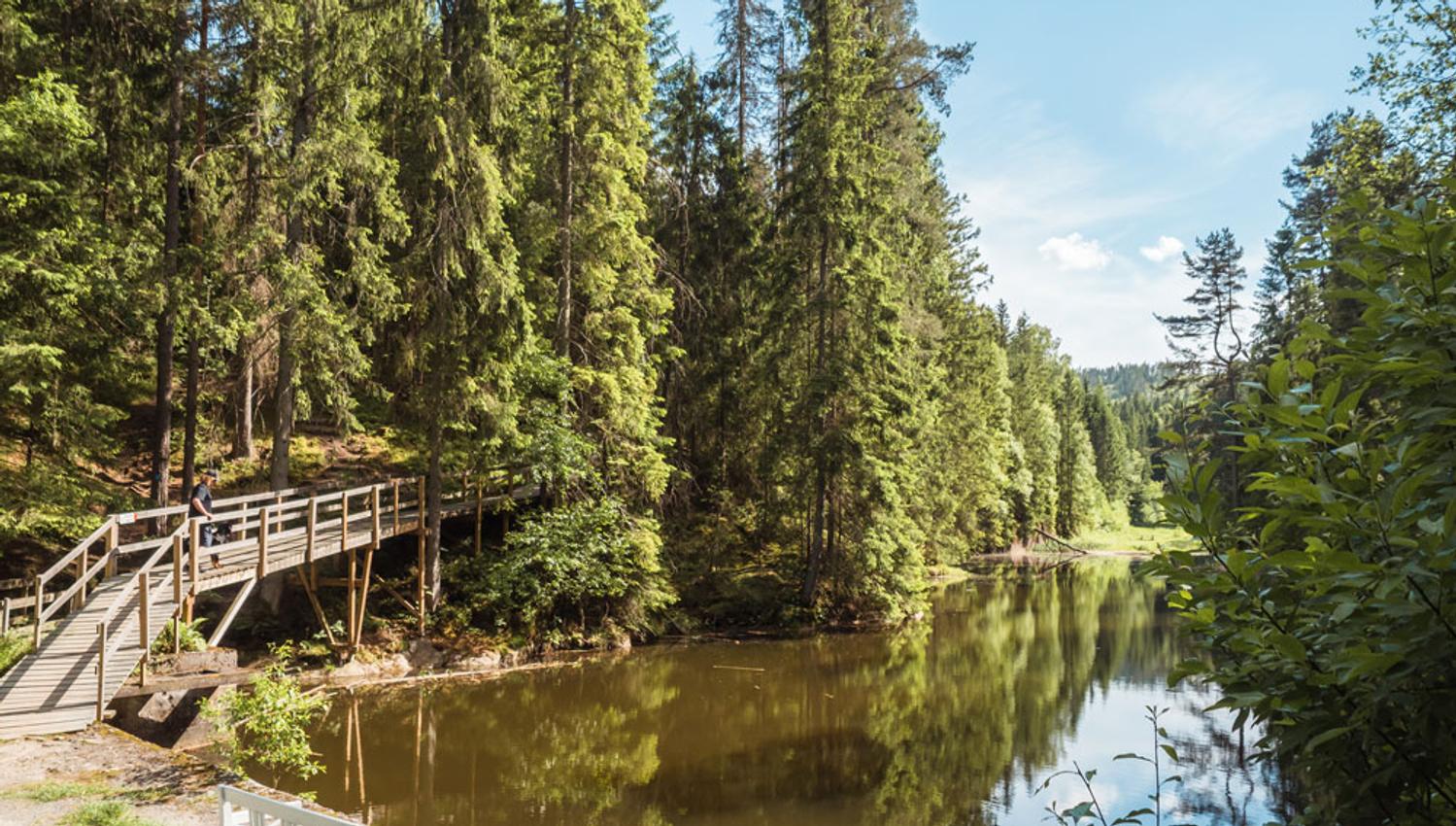 hiking trail that goes past a lake at the ski leisure park
