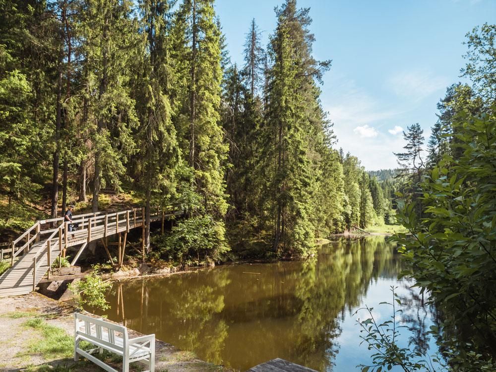 hiking trail that goes past a lake at the ski leisure park
