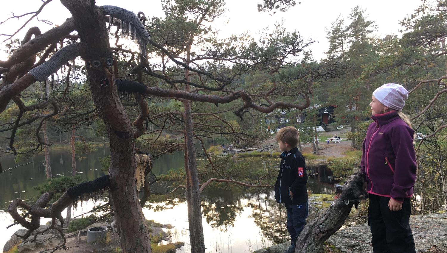 Trolløypa (6)