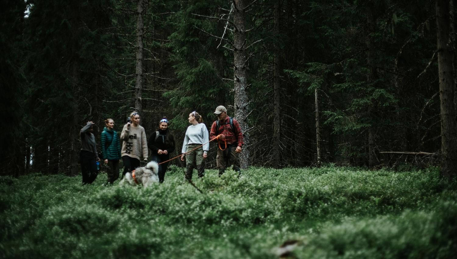 Elgsafari med Finnskogen Adventures