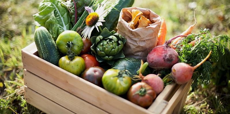 Ramme Gaard - farm café and shop