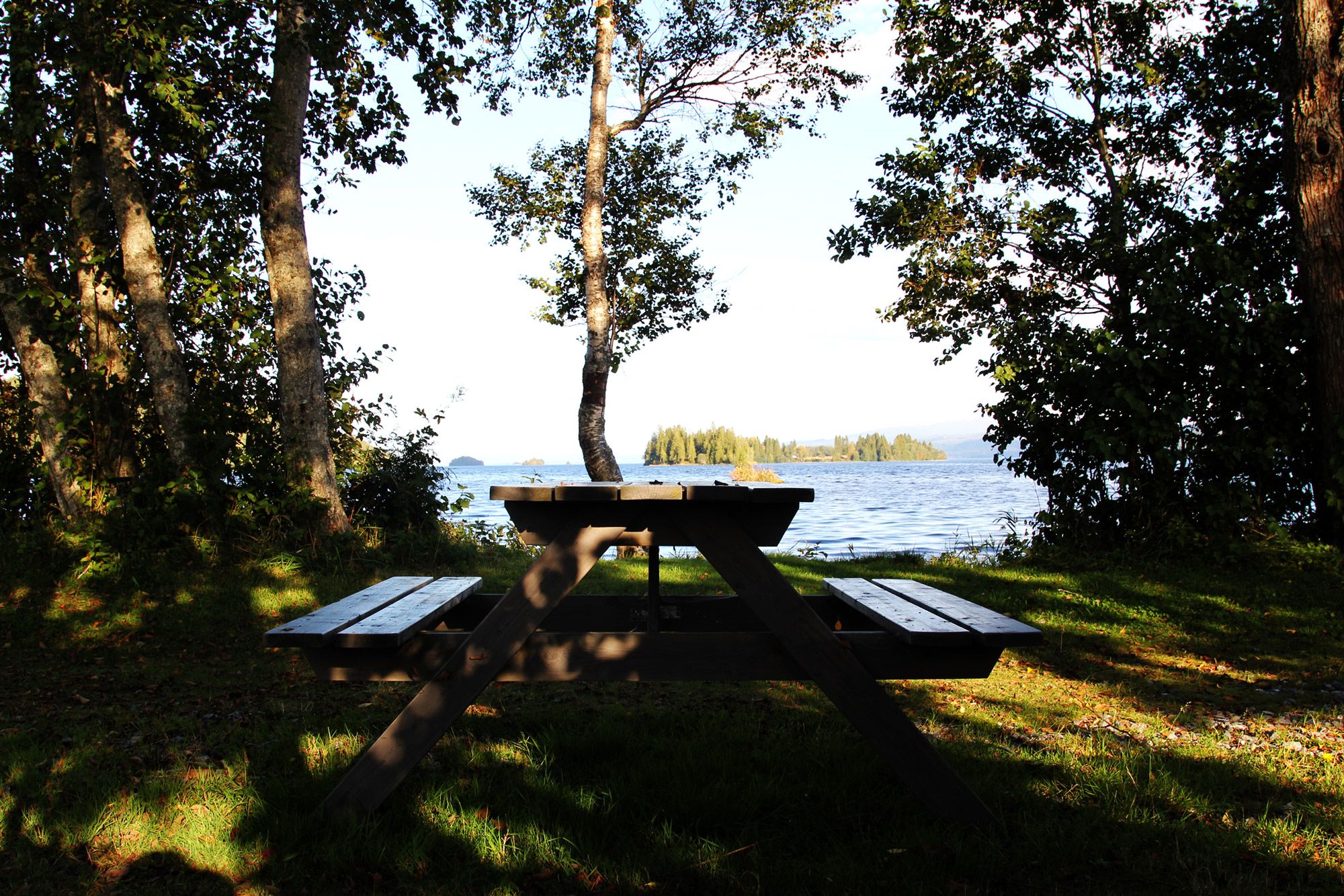 Pcinic area by the lake