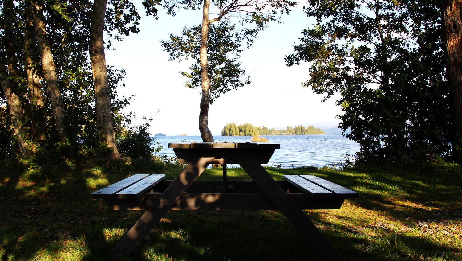 Pcinic area by the lake