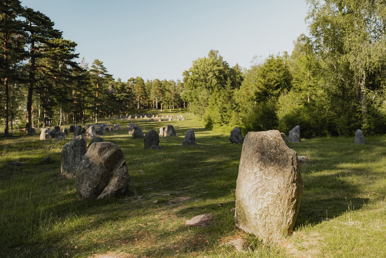 Steinring feltet på Hunn