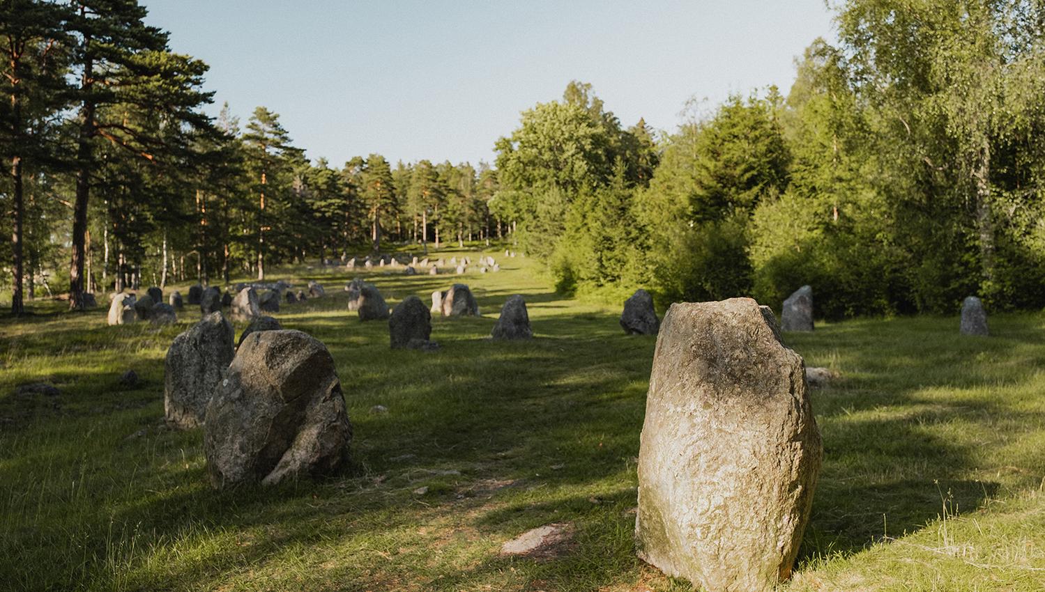 Steinring feltet på Hunn