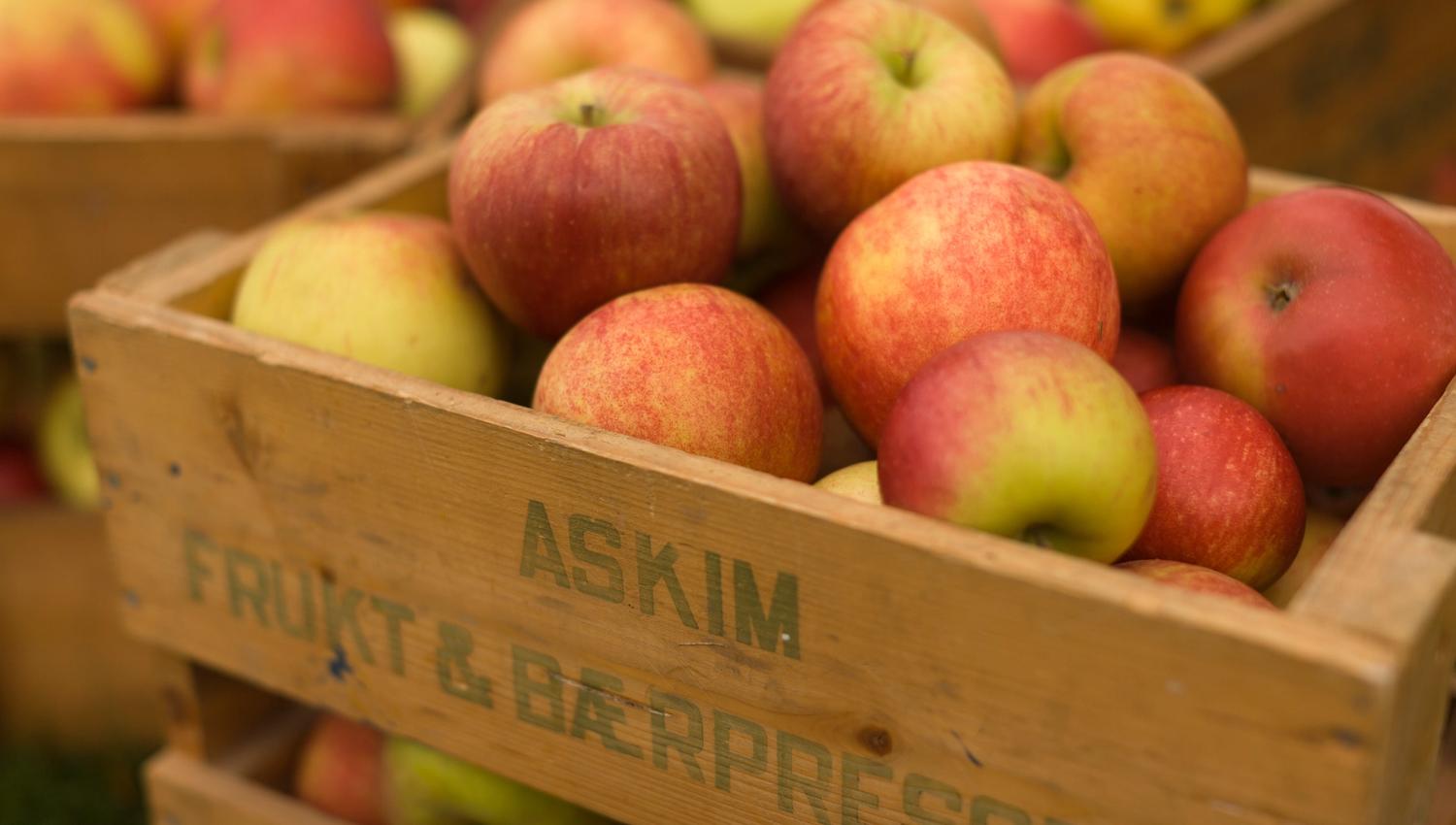 Trekasser fylt med røde og gule epler står stablet. På kassen står det «Askim Frukt- og Bærpresseri». Eplene ser ferske og saftige ut, og fargene gir en varm og høstlig følelse.