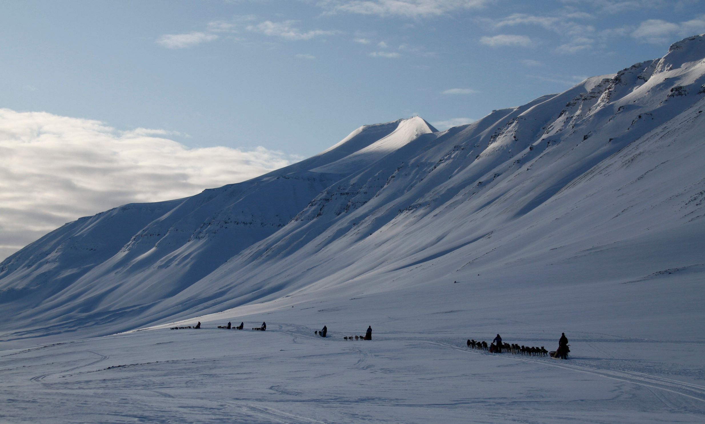 Dog sleds in a valley