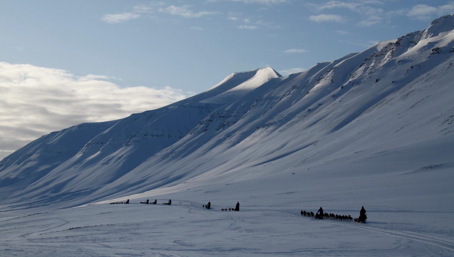 Dog sleds in a valley