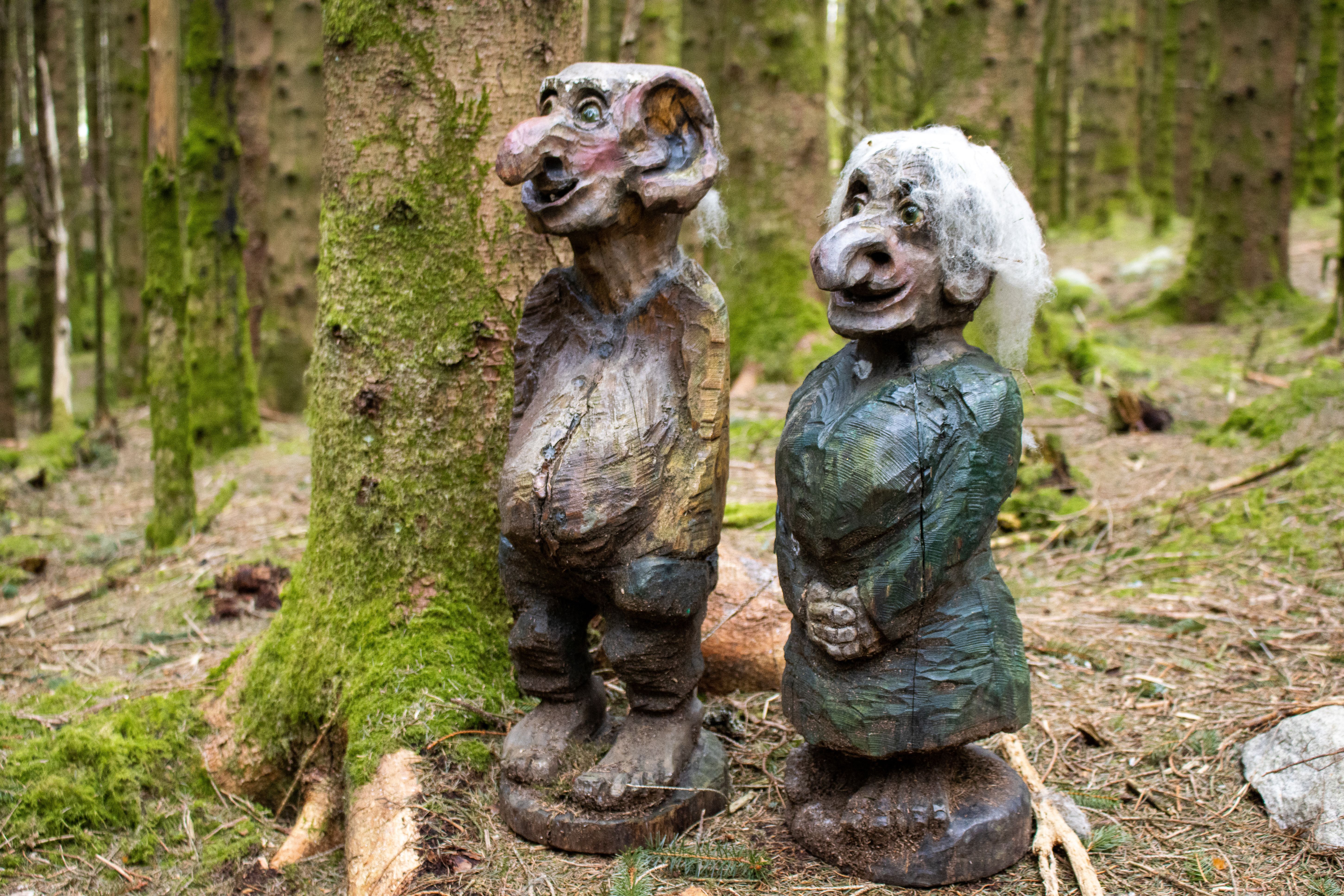 Eventyrskogen i Årdal