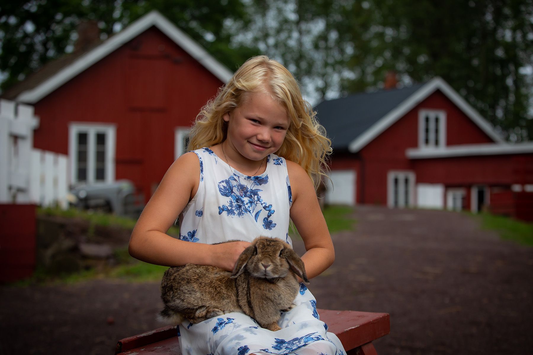 A child cuddles a rabbit