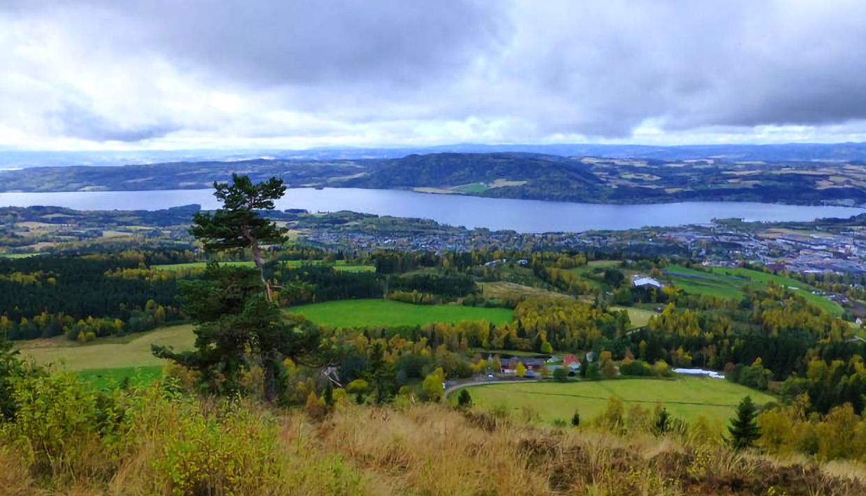Utsikt fra Høstbjørkampen