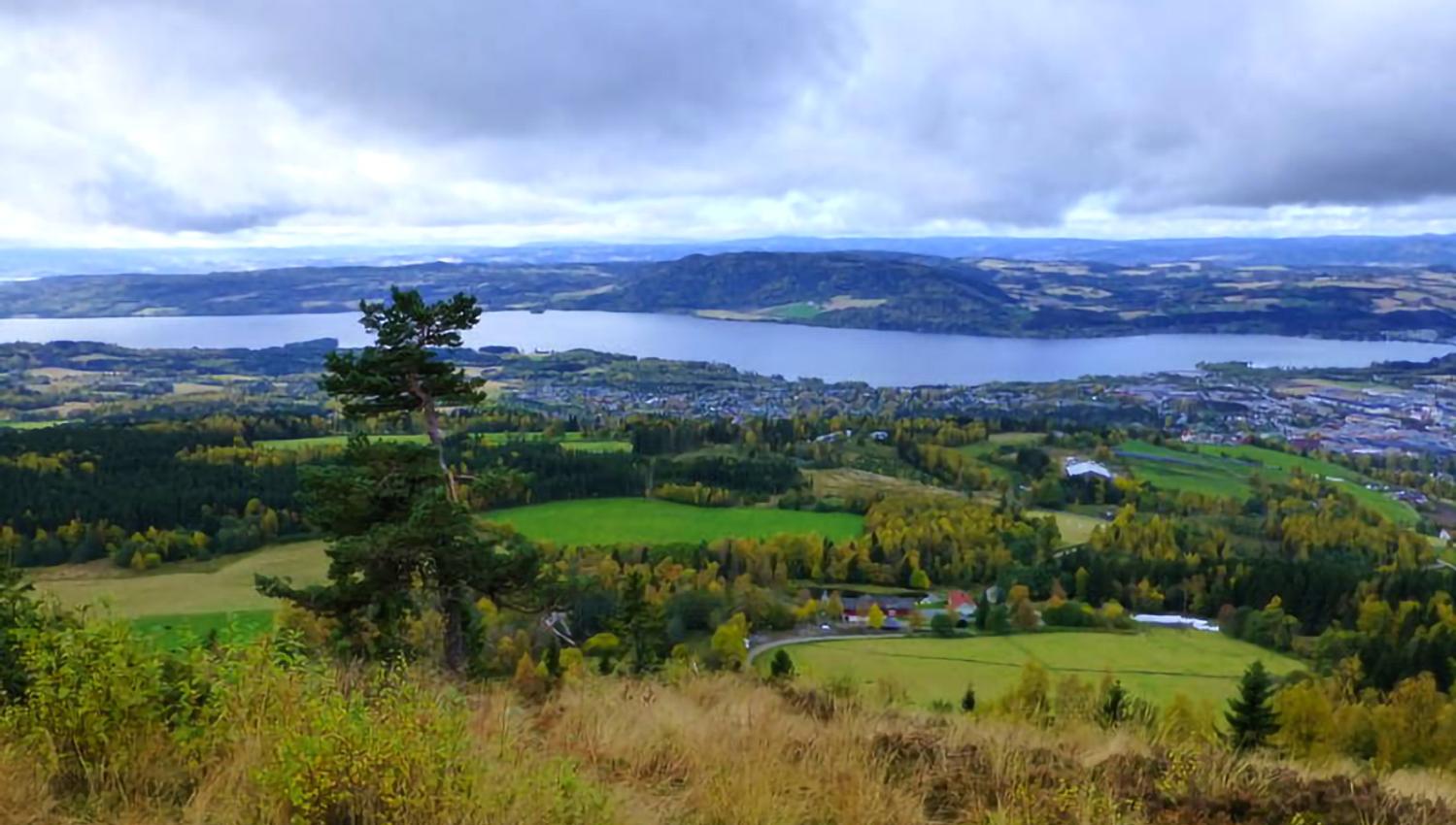 Utsikt fra Høstbjørkampen