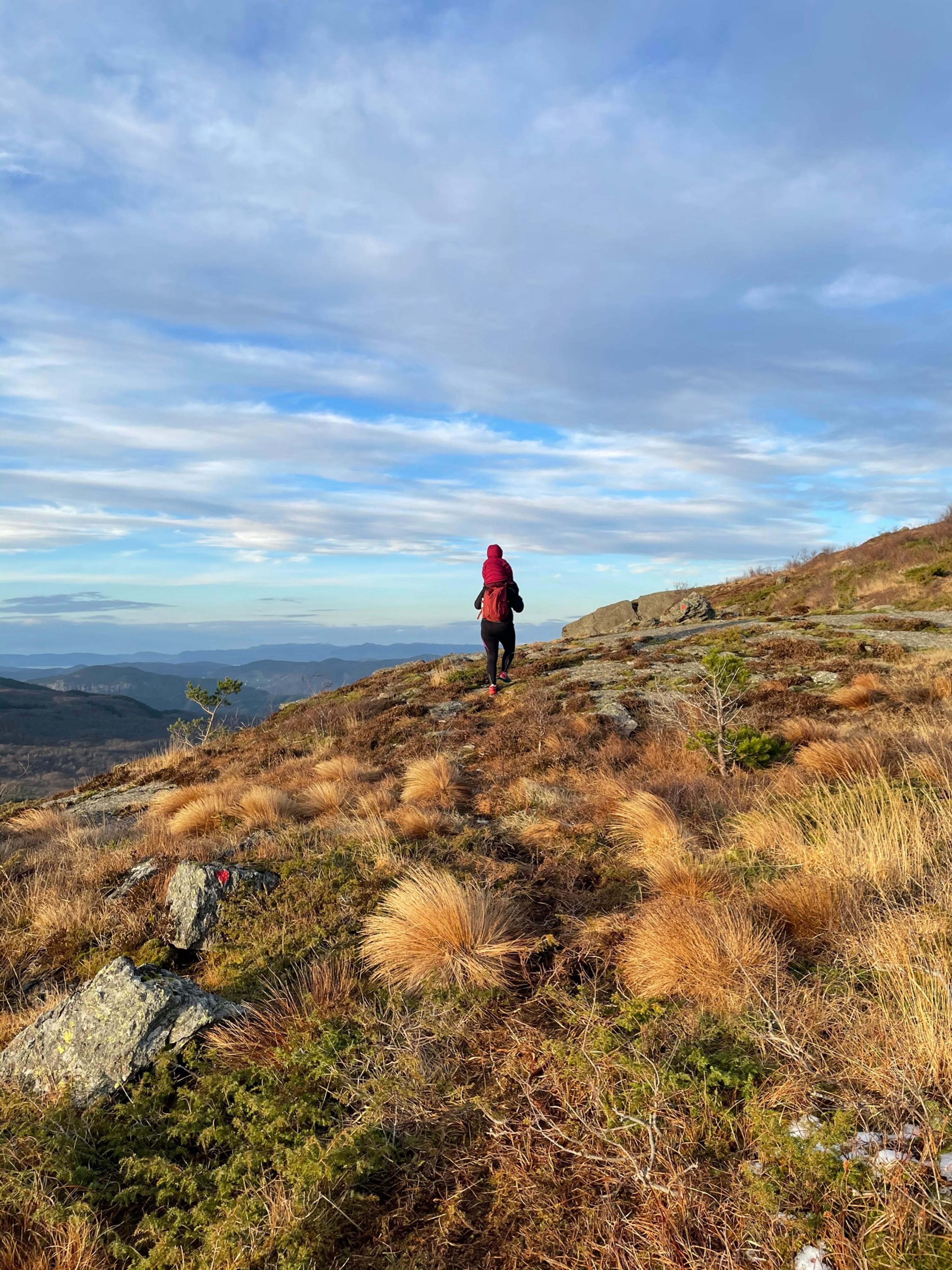 Ingvaldstadfjellet - hike