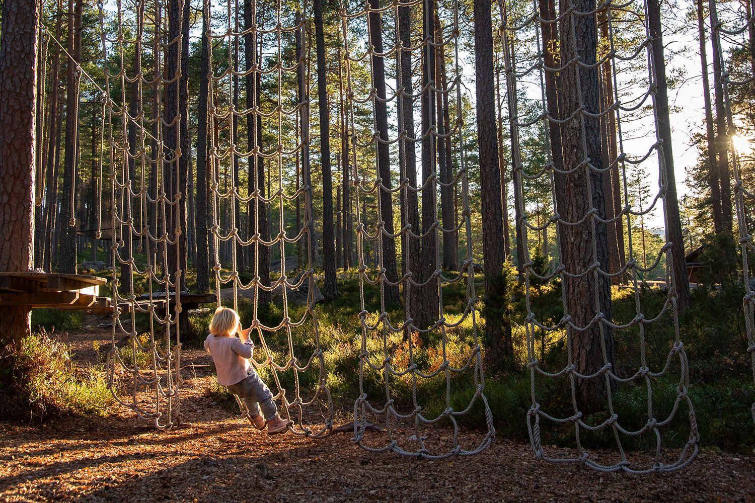 The climbing park in Hamaren Activity Park.