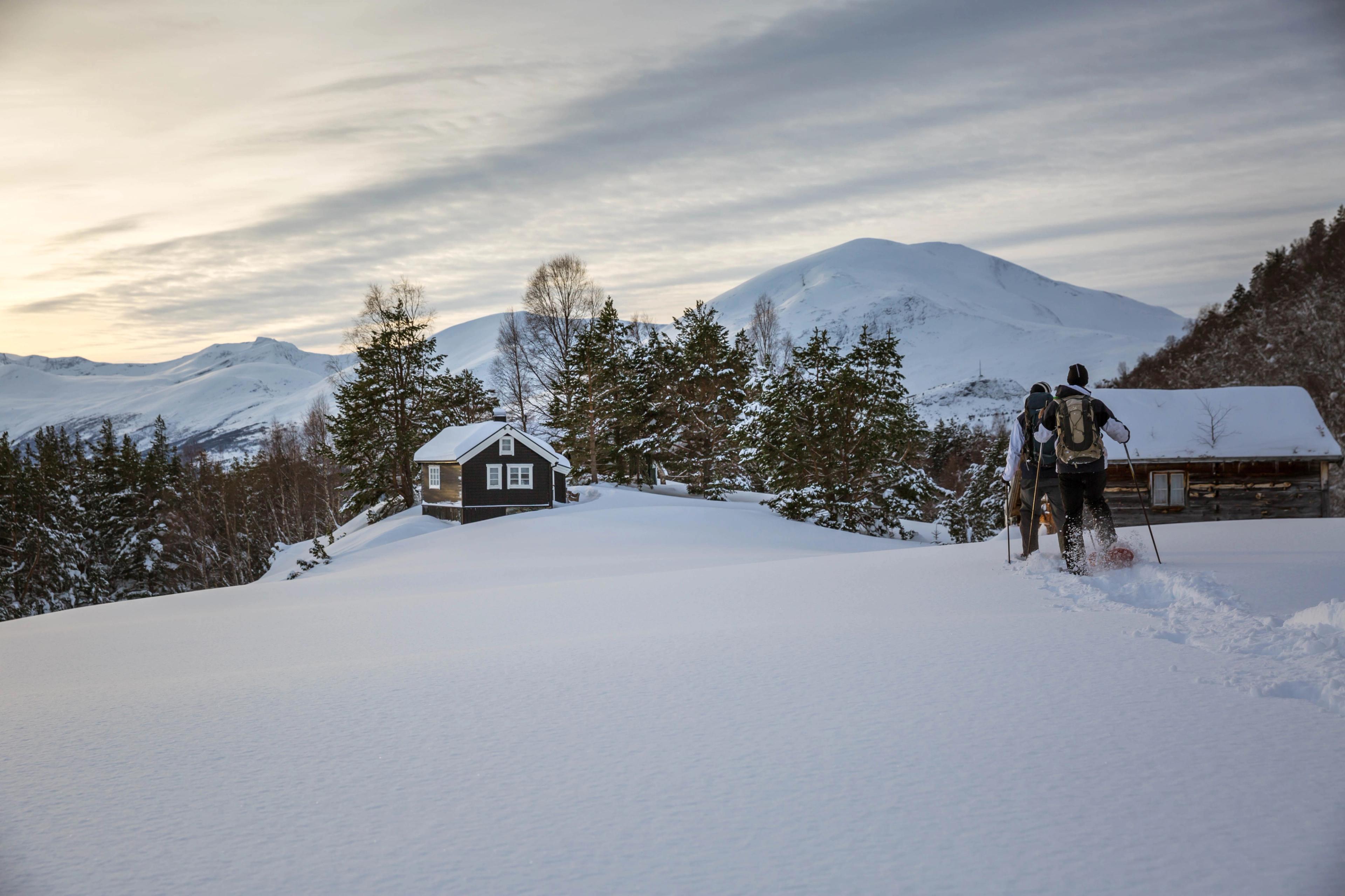 Guided snowshoe hike to Peak Mefjellet in Valldal