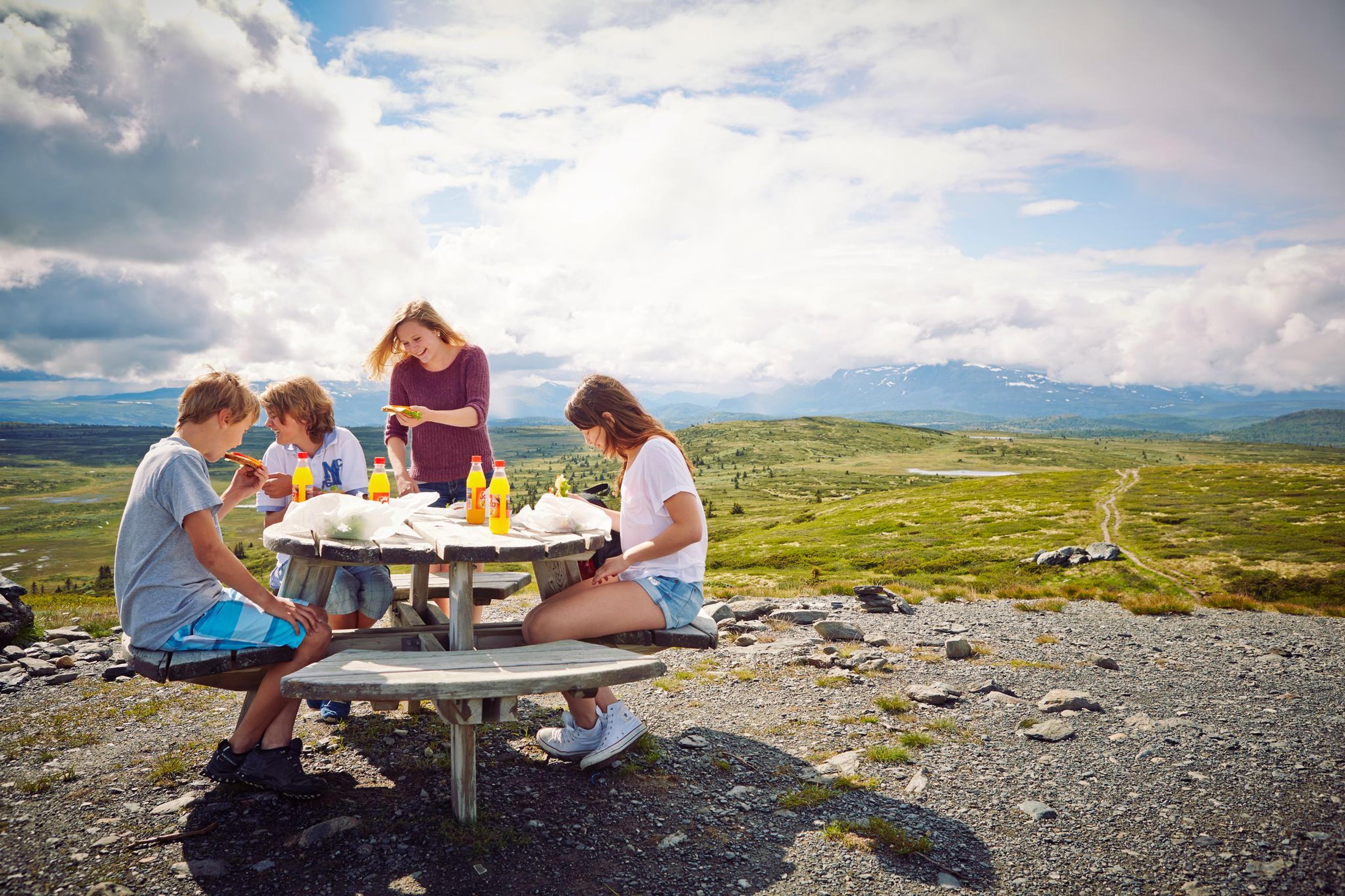 Storefjelltoppen, Golsfjellet, Gol