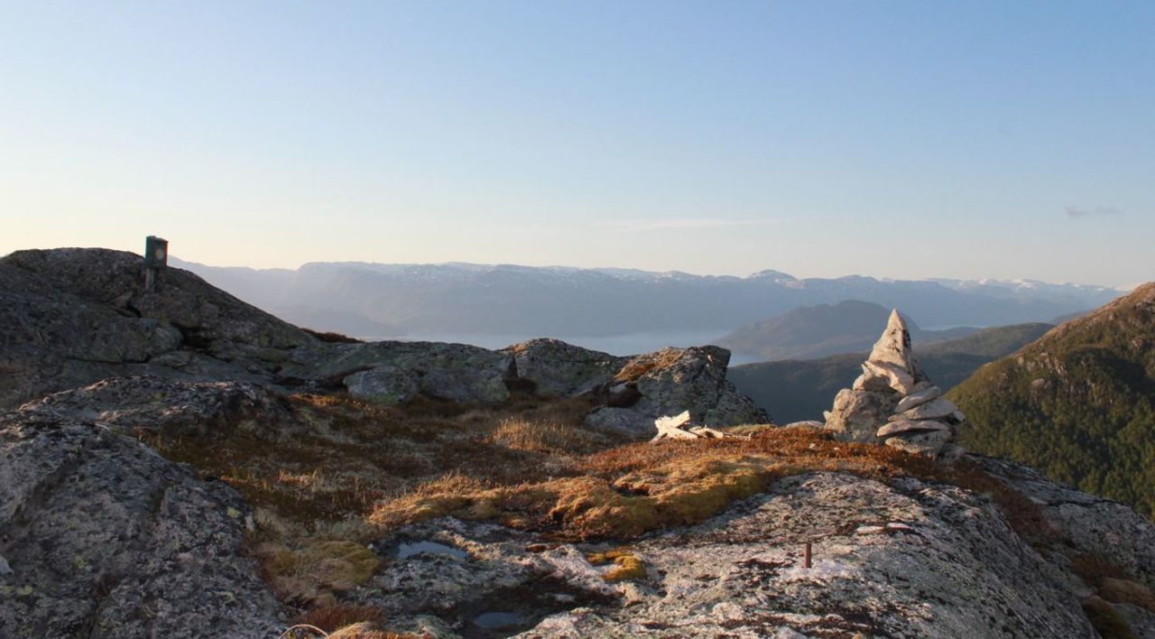 tveddalsnotten sveinung selsvik