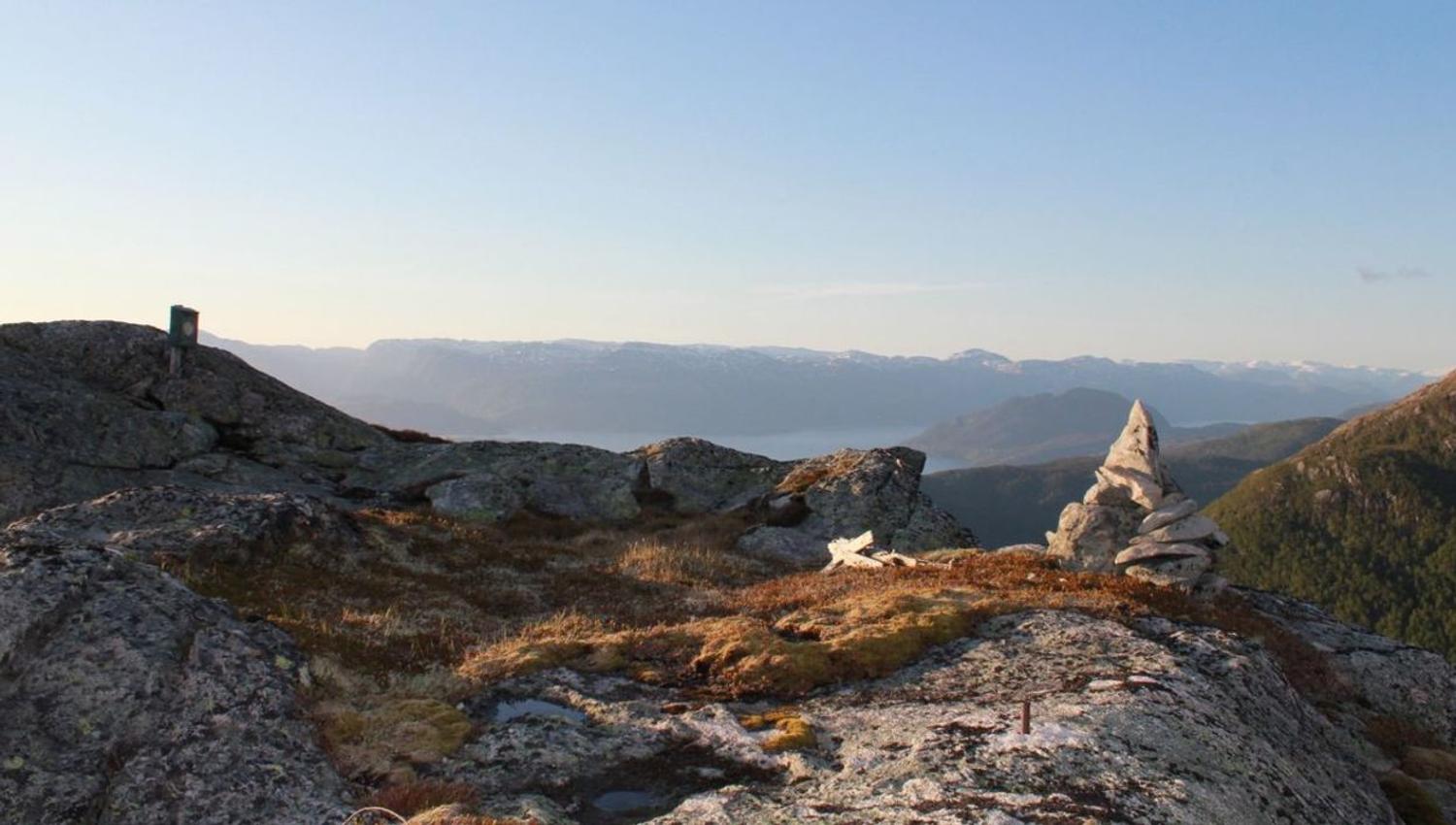 tveddalsnotten sveinung selsvik