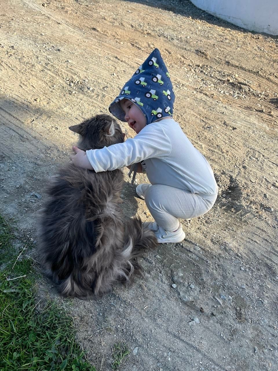 Eit lite barn i lys kledning og blå lue bøyer seg og klemmer ein stor, langhåra katt på grus..