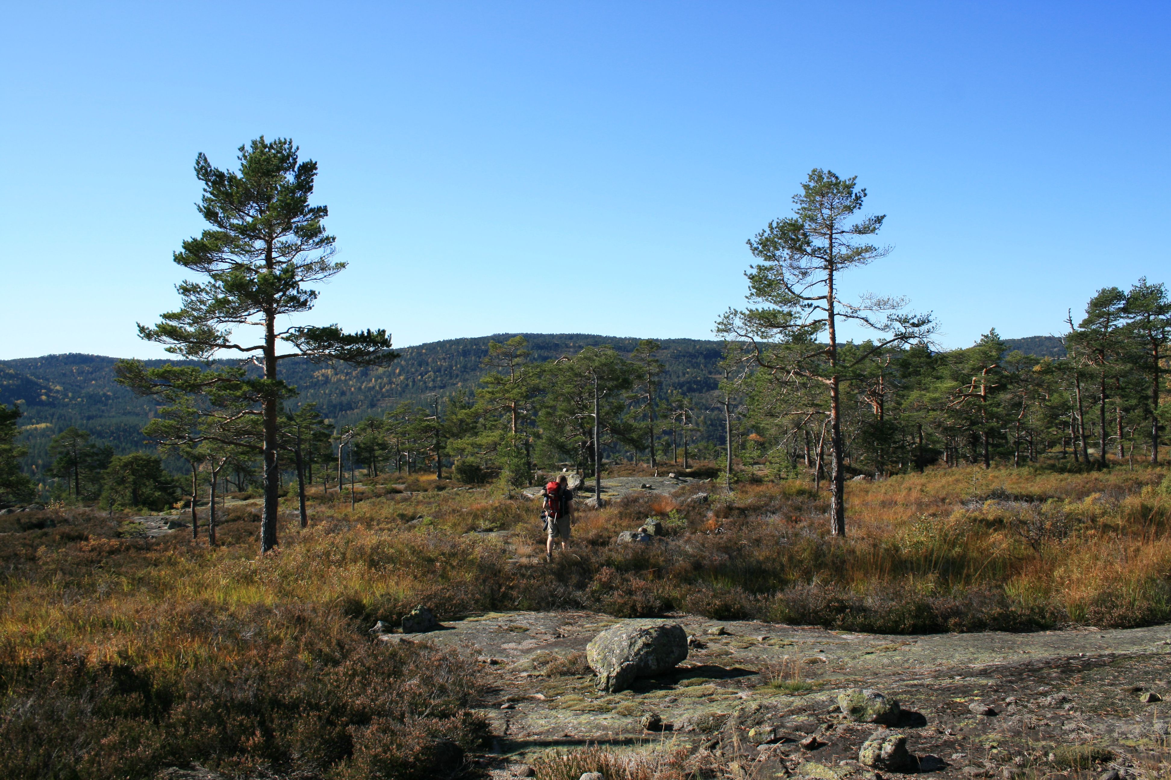 Oppe på toppen av Sagfjellet