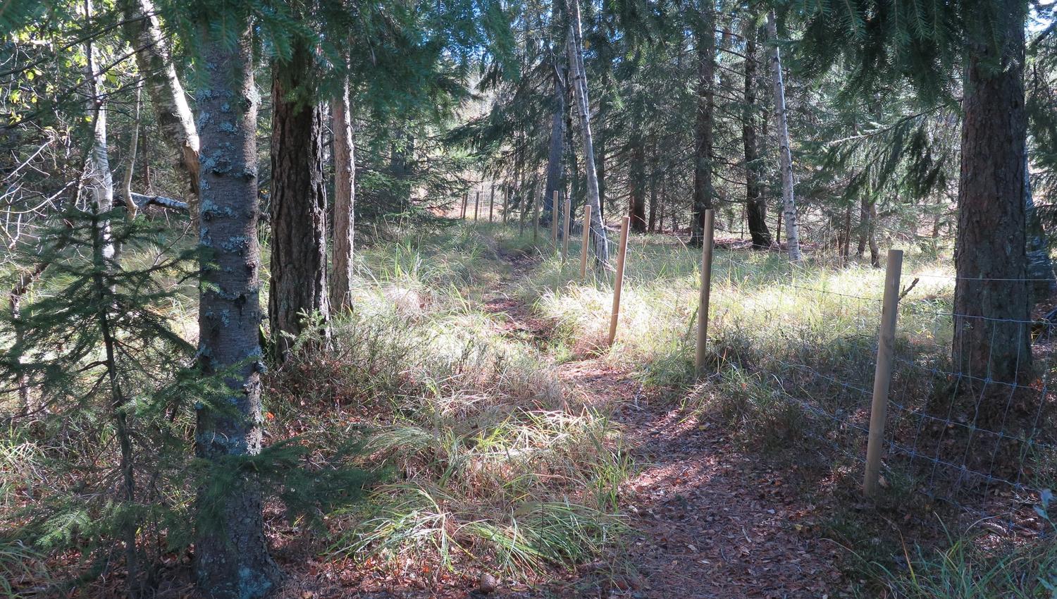 Krigsminnet på Vierli