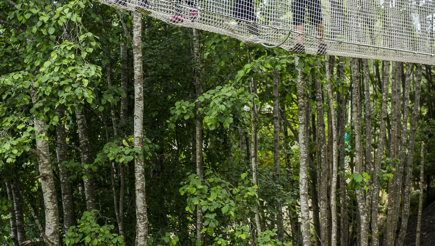 Fem stykker som klatrer i netting